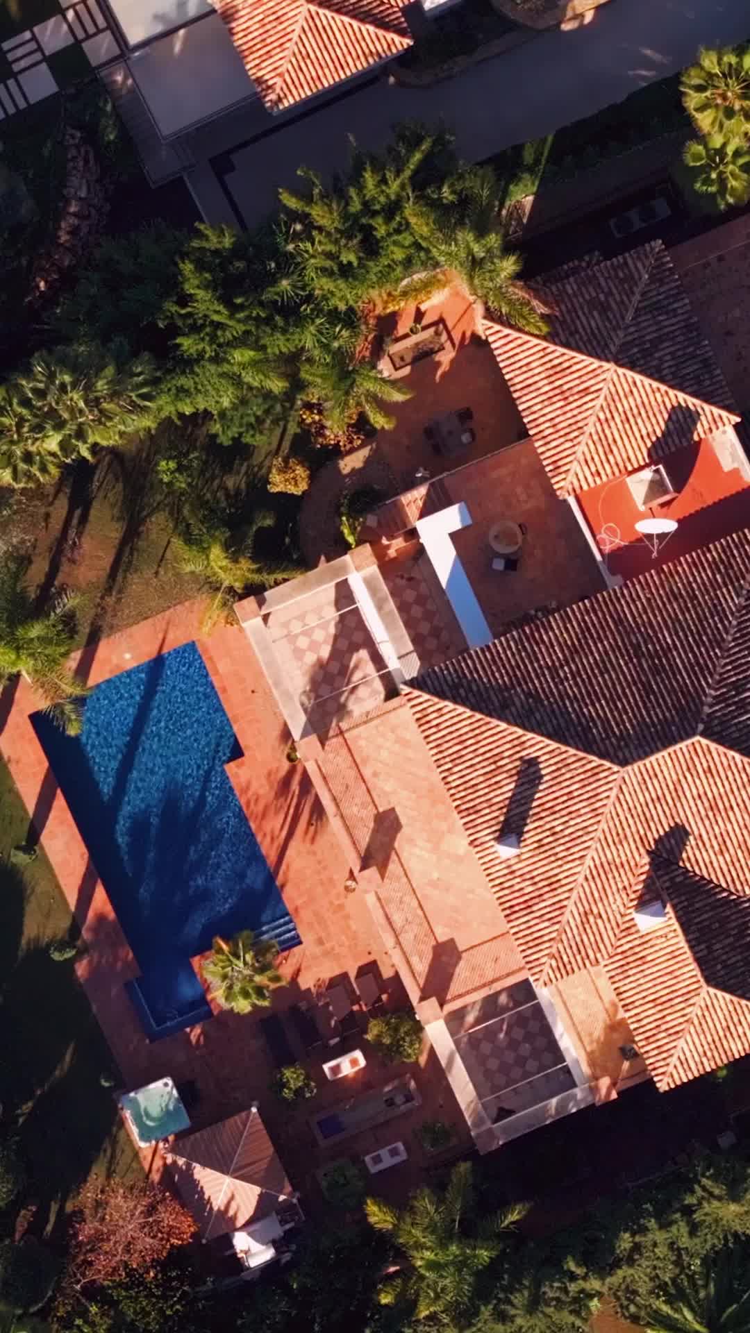 Episódio 2 de A Abelha Rainha Contra-Ataca