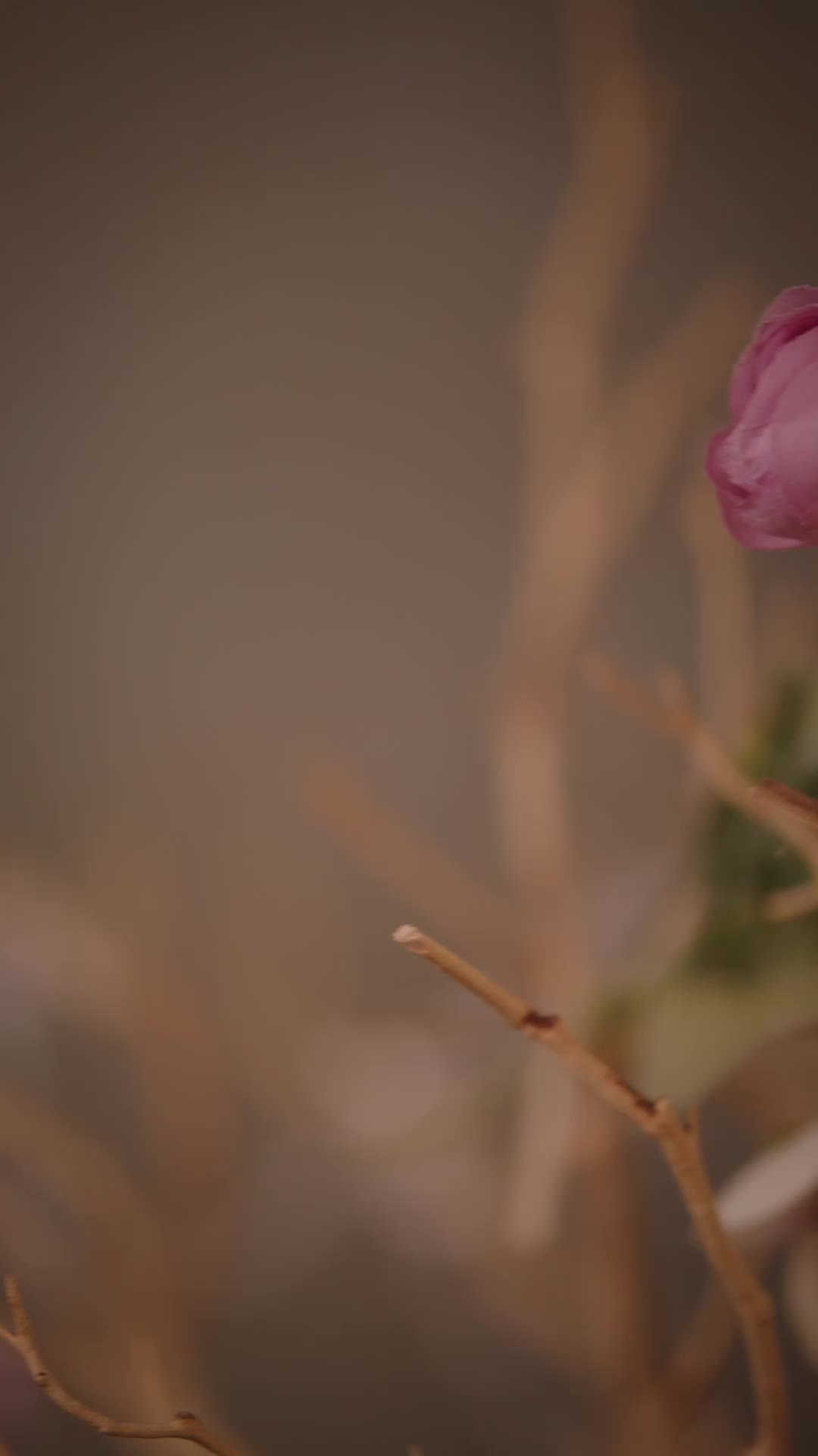 Episódio 21 de A Barganha do Bebê do Bilionário