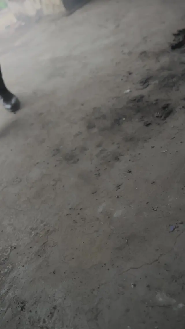 Episódio 37 de À Beira da Verdade do Amor