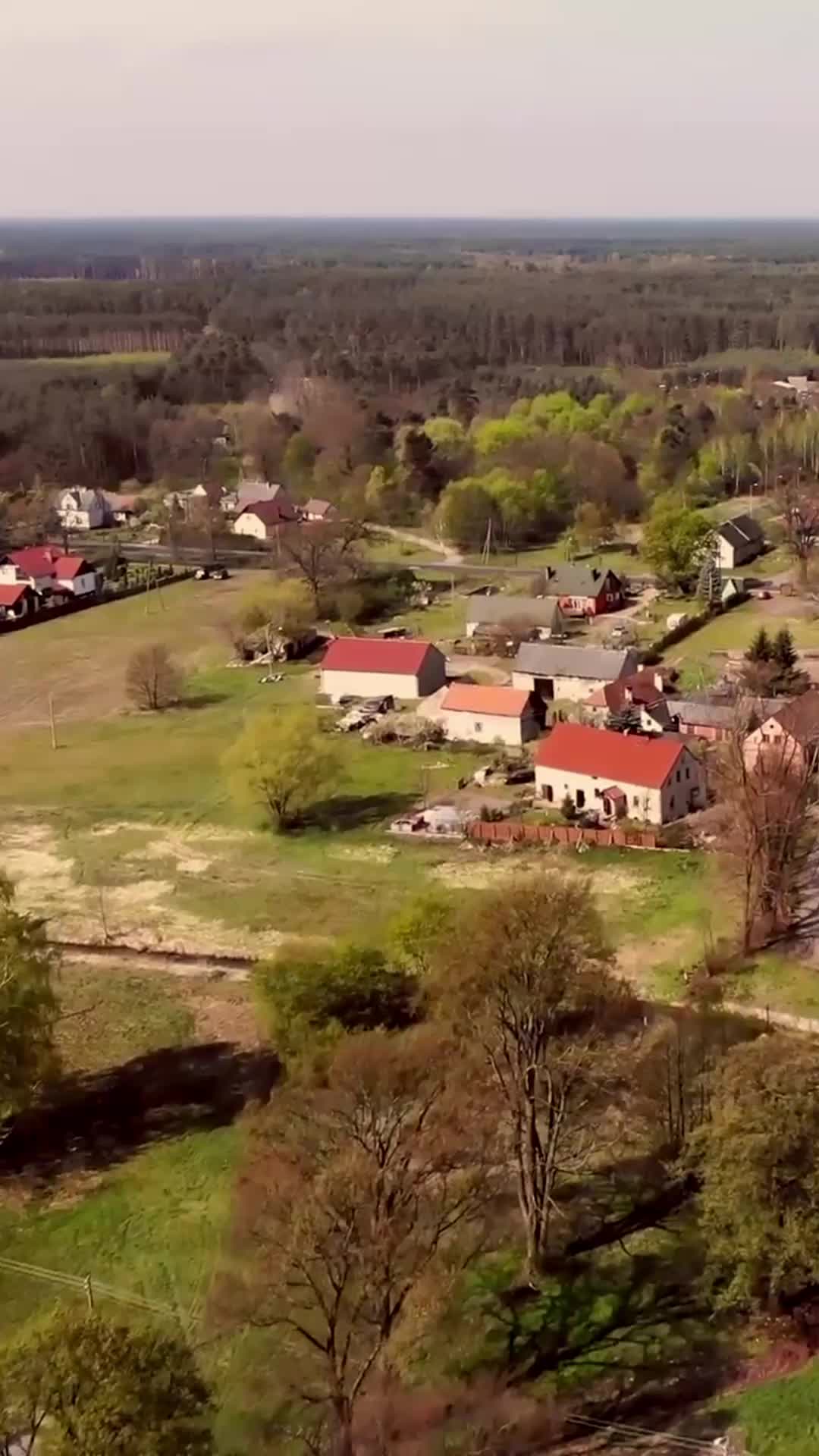 Episódio 3 de A Doce Vingança do Bebê: Mamãe, Encontrei Meu Papai dos Sonhos!