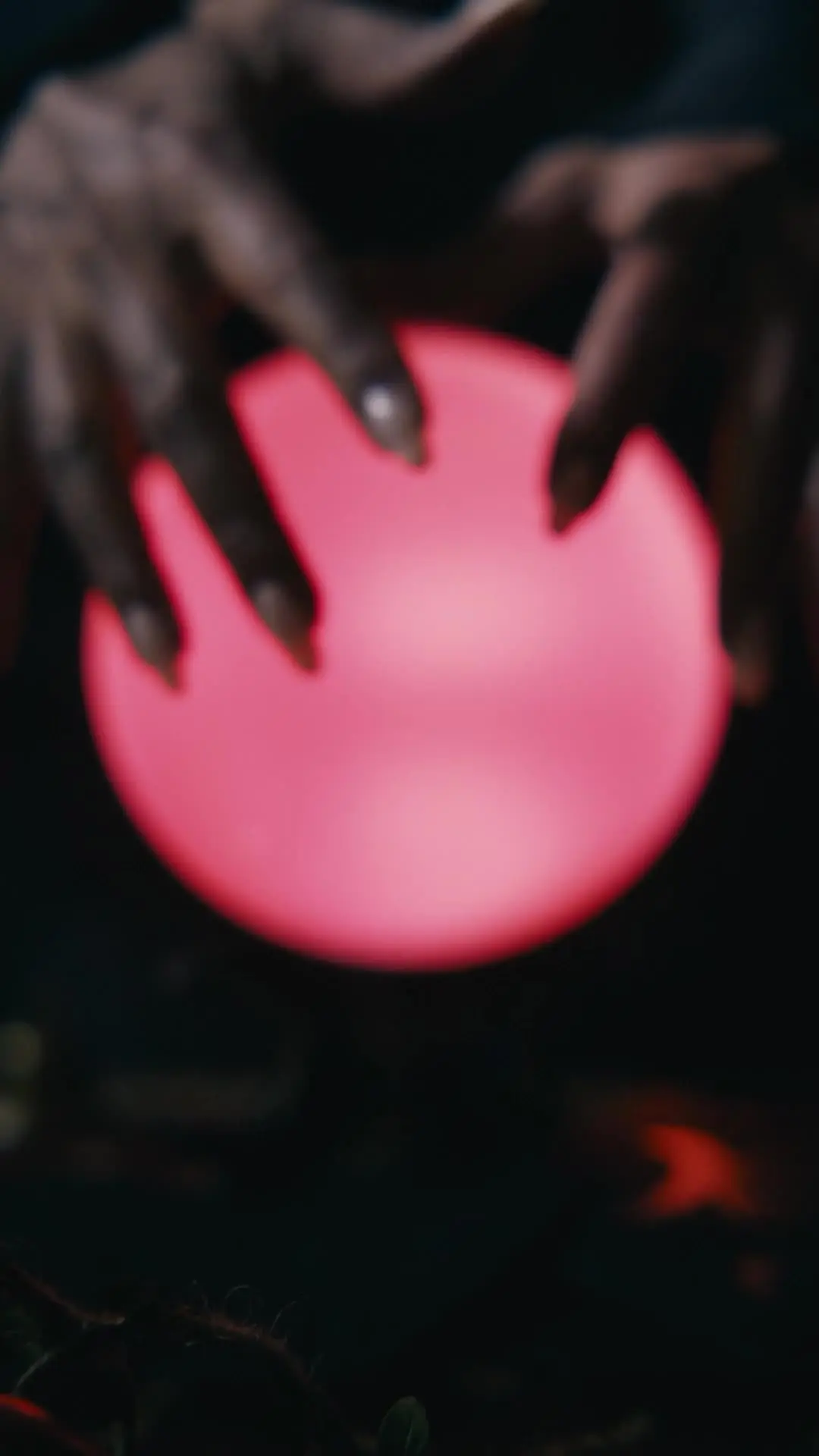Episódio 1 de A Filha do Alfa