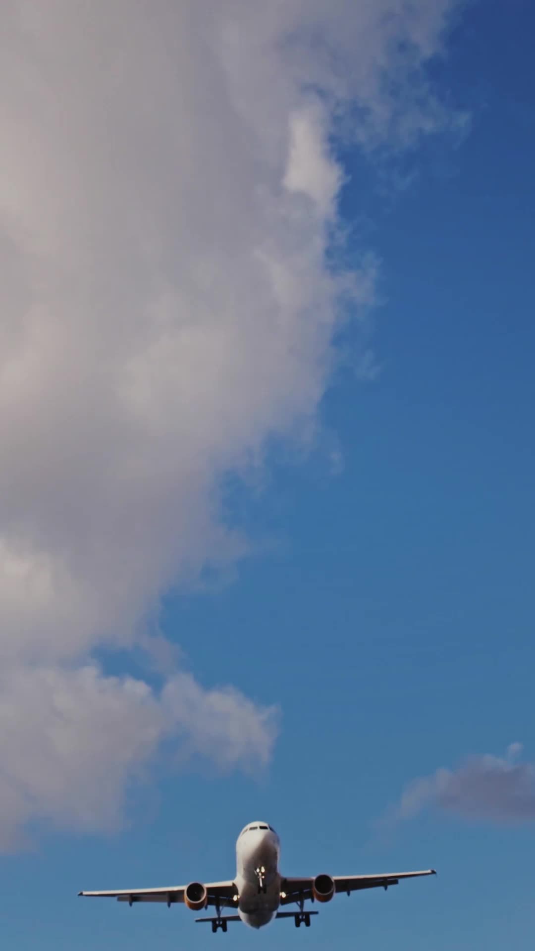 Episódio 25 de A herdeira escondida nas nuvens