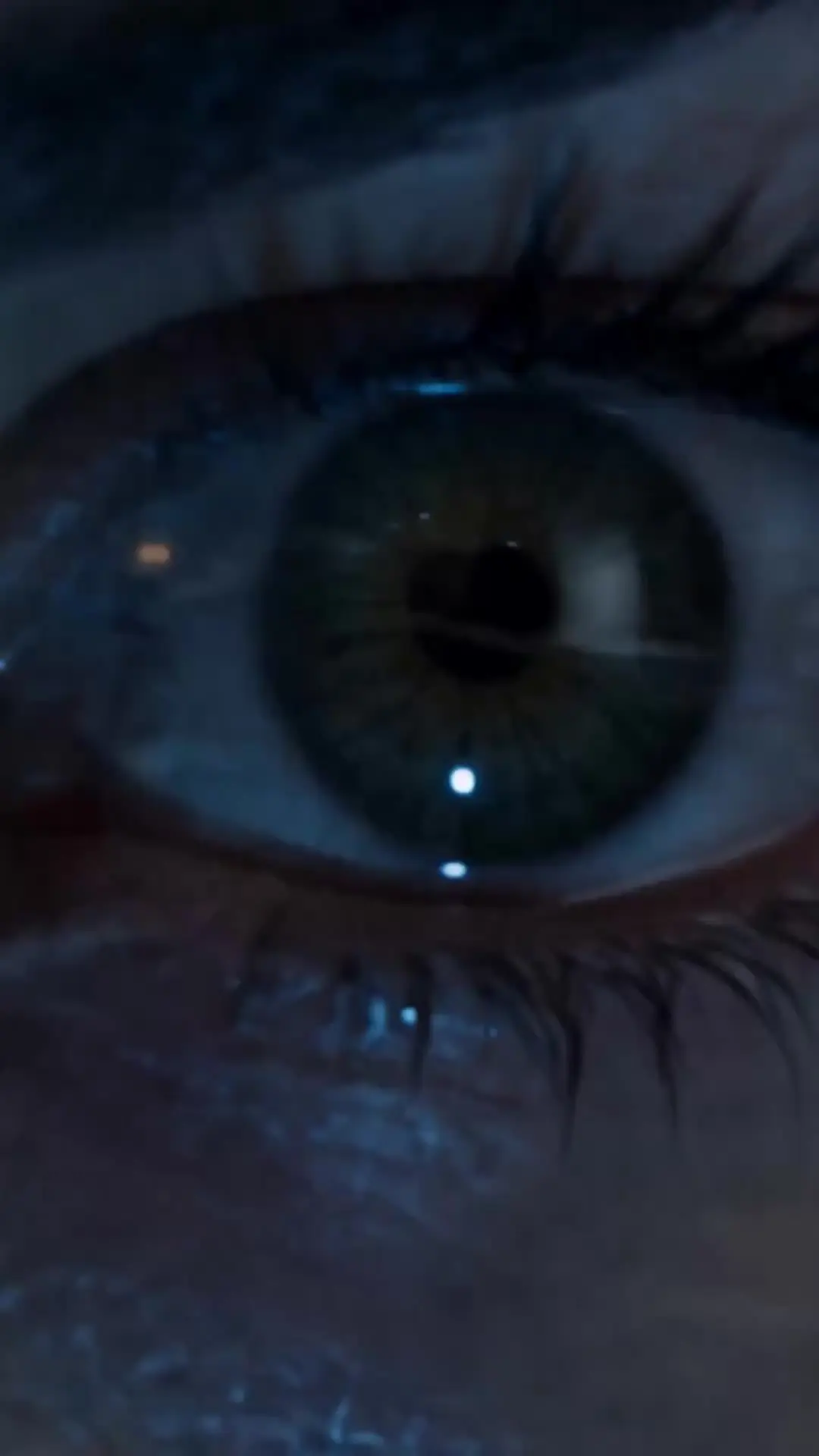 Episódio 32 de A Luna Selvagem do Lycan