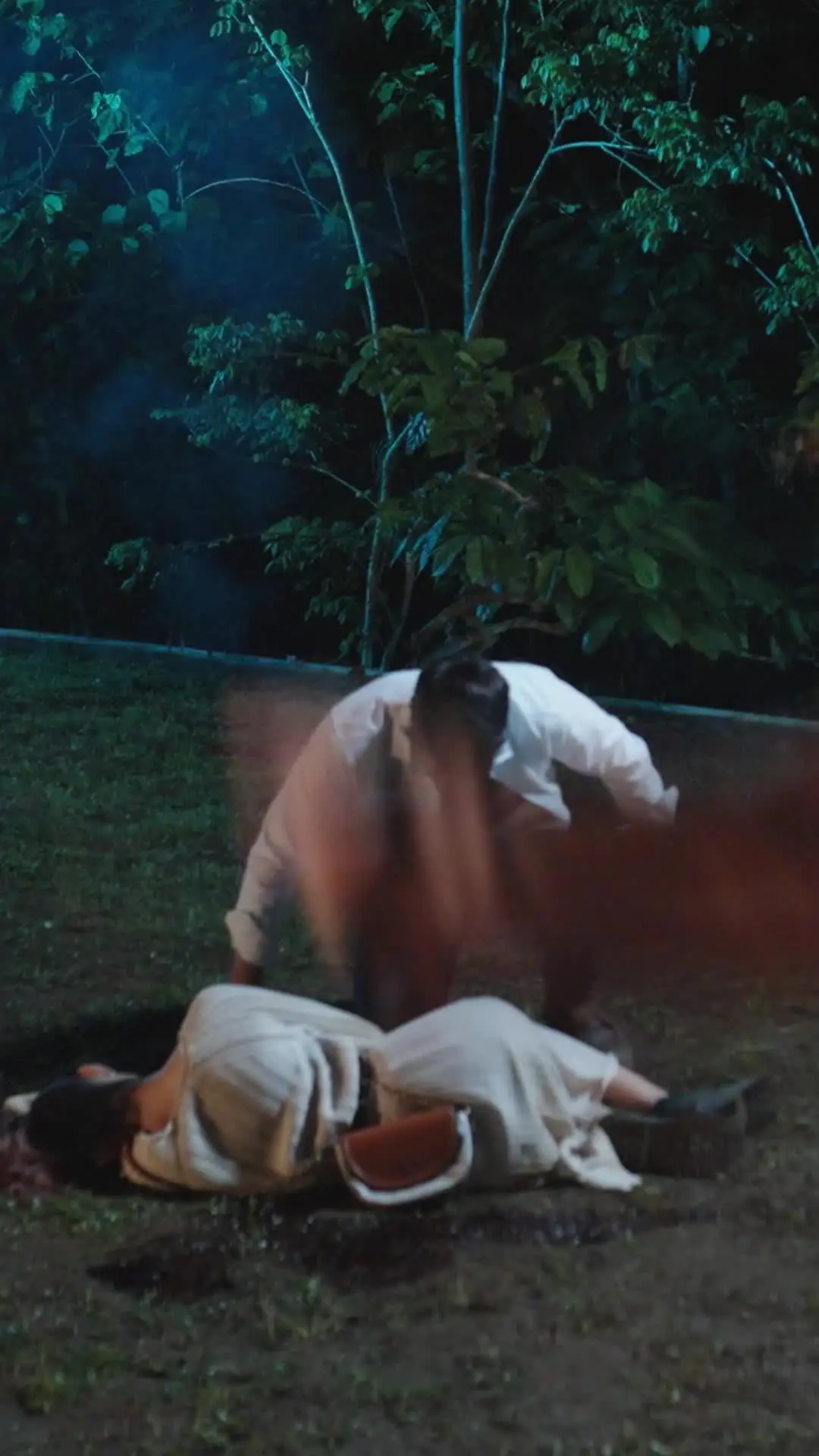 Episódio 61 de A noiva do rei lobo