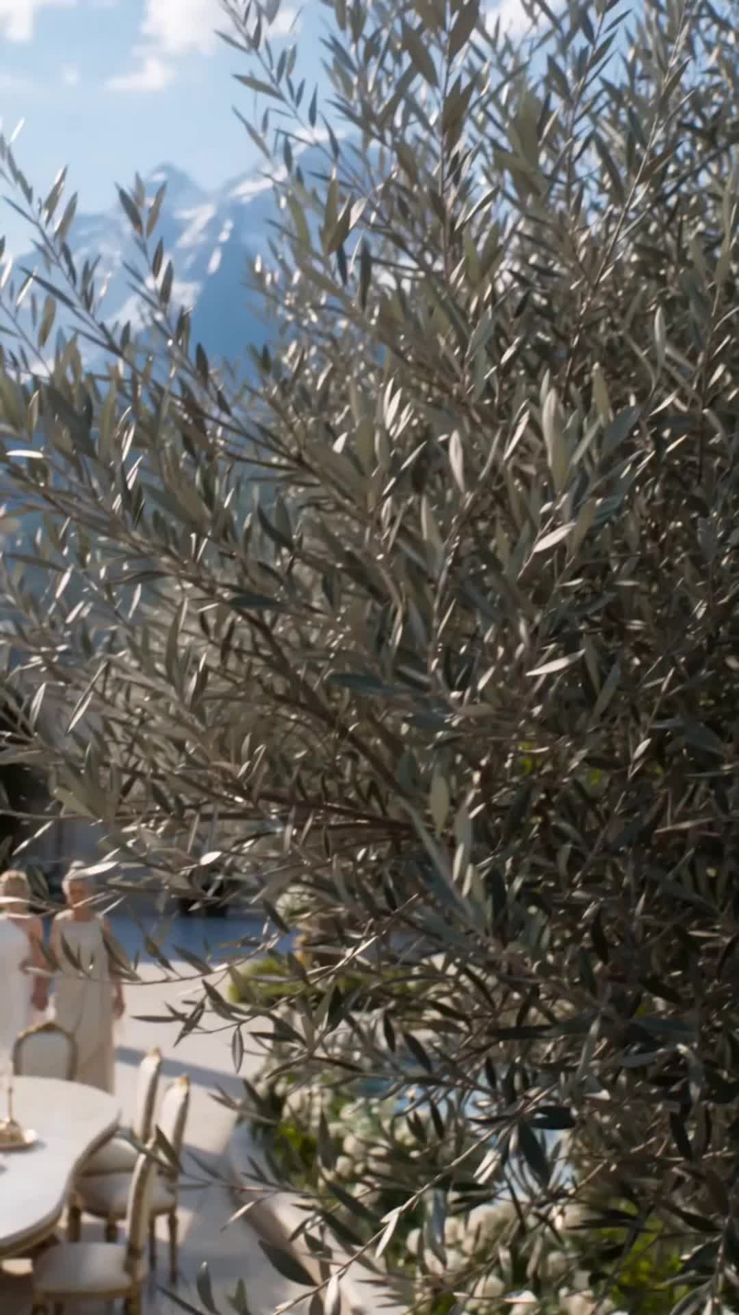 Episódio 48 de A Noiva Mortal do Príncipe Divino