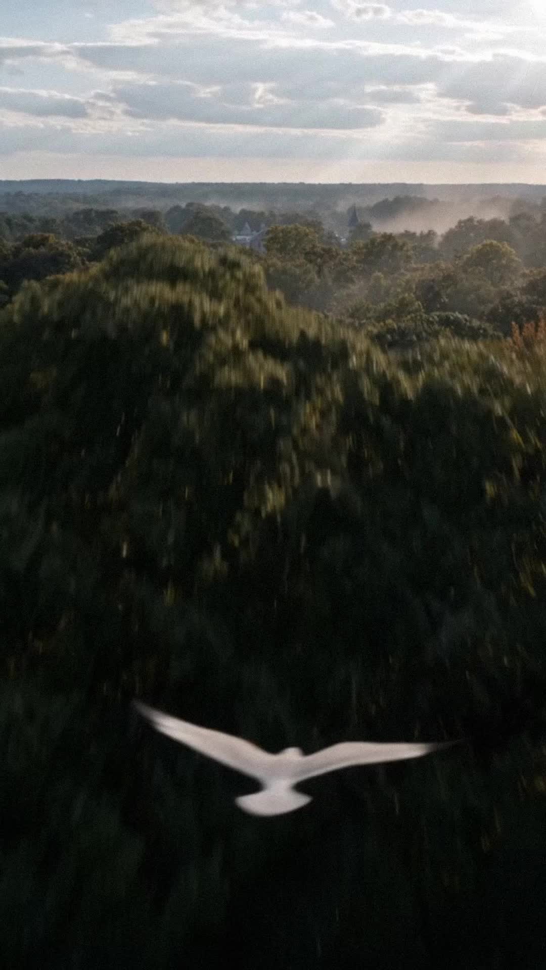 Episódio 53 de A Noiva Roubada do Rei Alfa