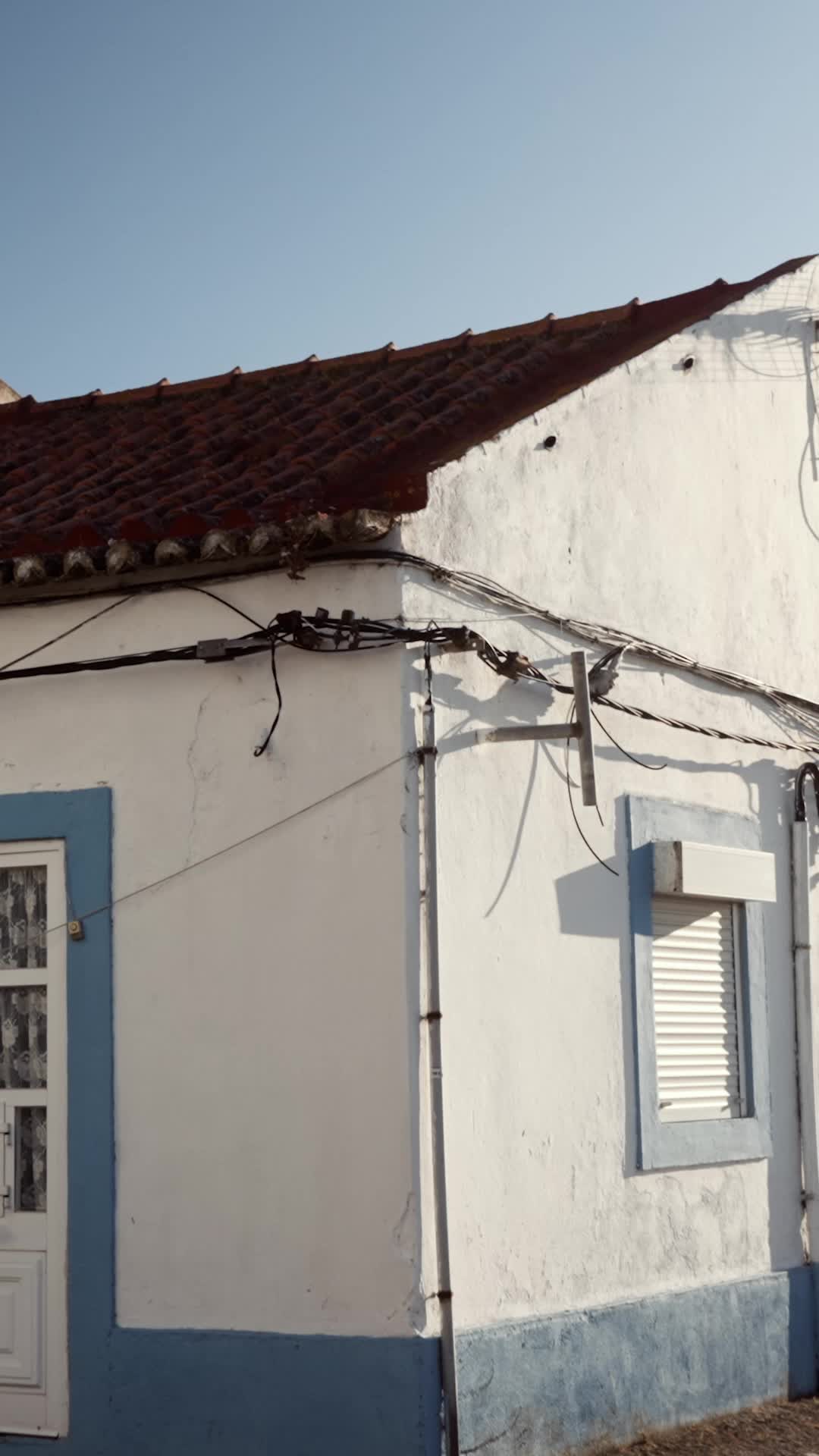 Episódio 53 de A Primeira Bailarina Desapareceu