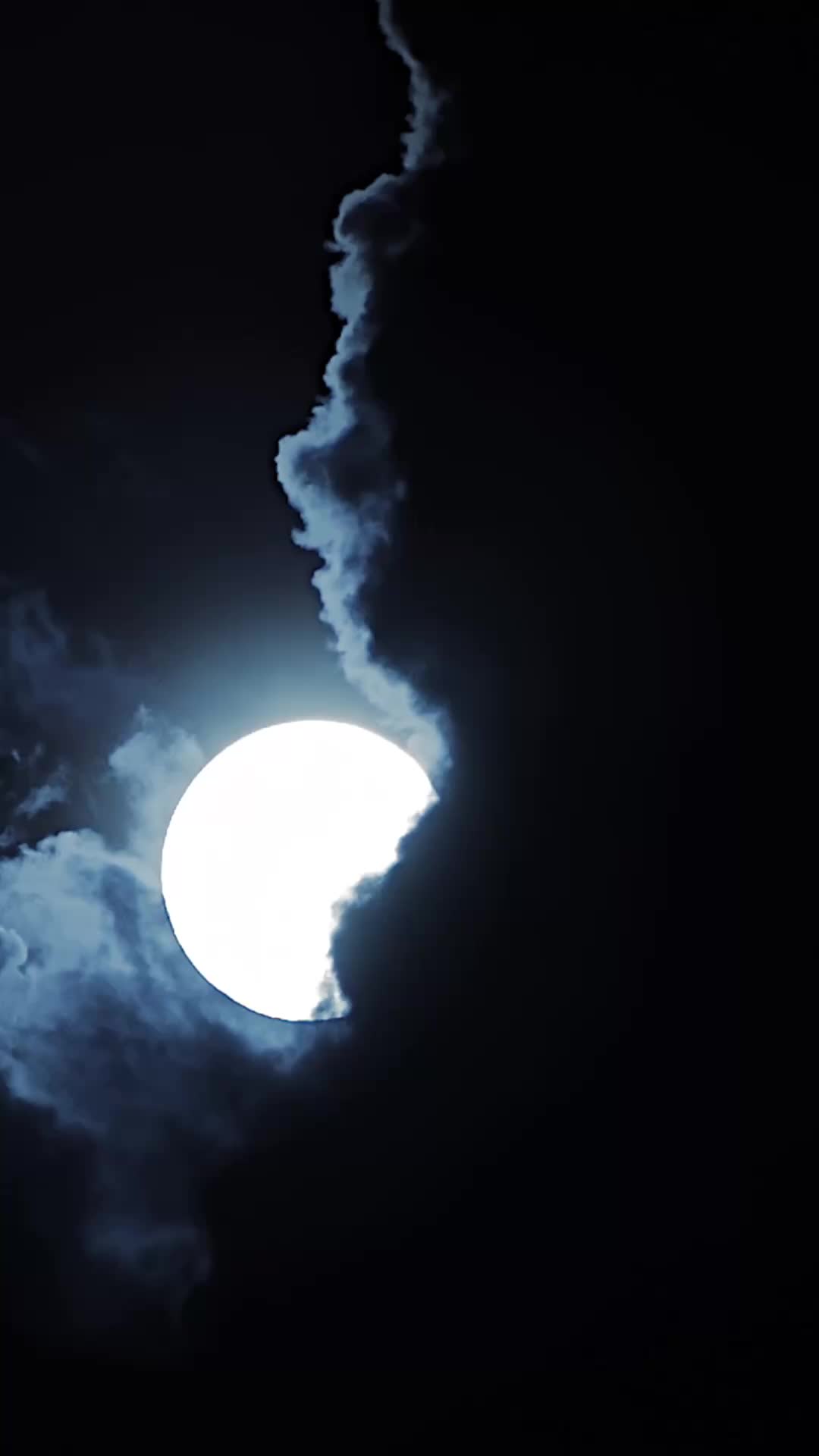 Episódio 35 de A prometida do príncipe vampiro