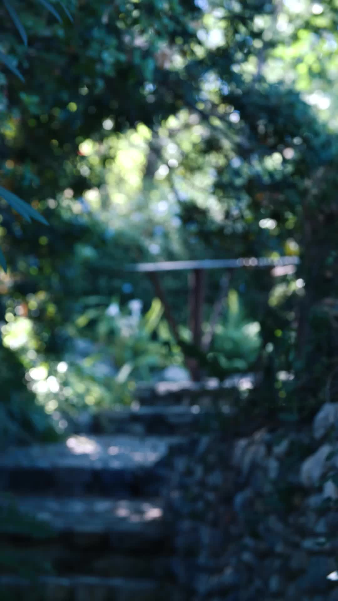 Episódio 1 de A Rainha Loba Alfa Retorna