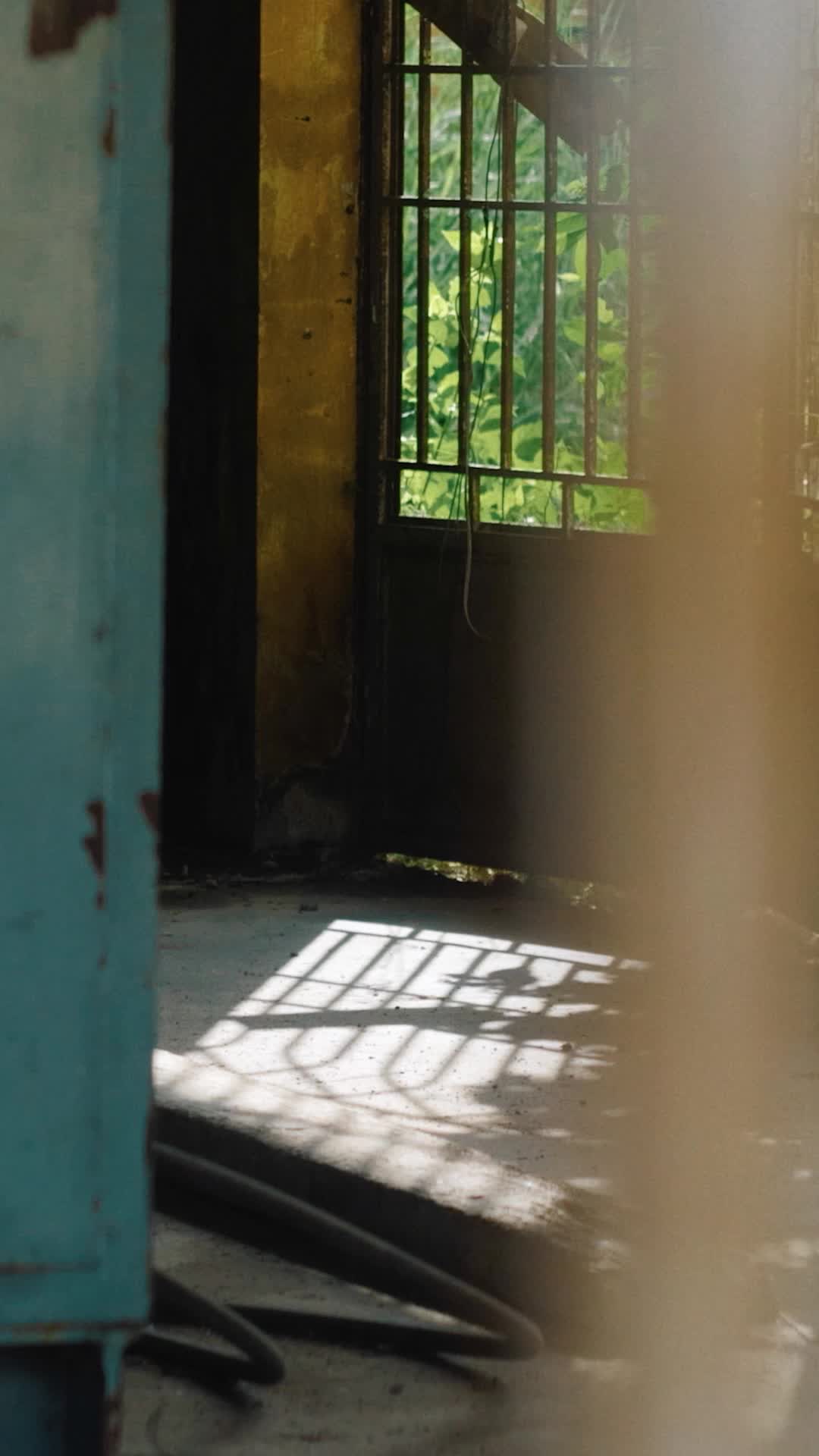 Episódio 44 de A Rainha Loba Alfa Retorna
