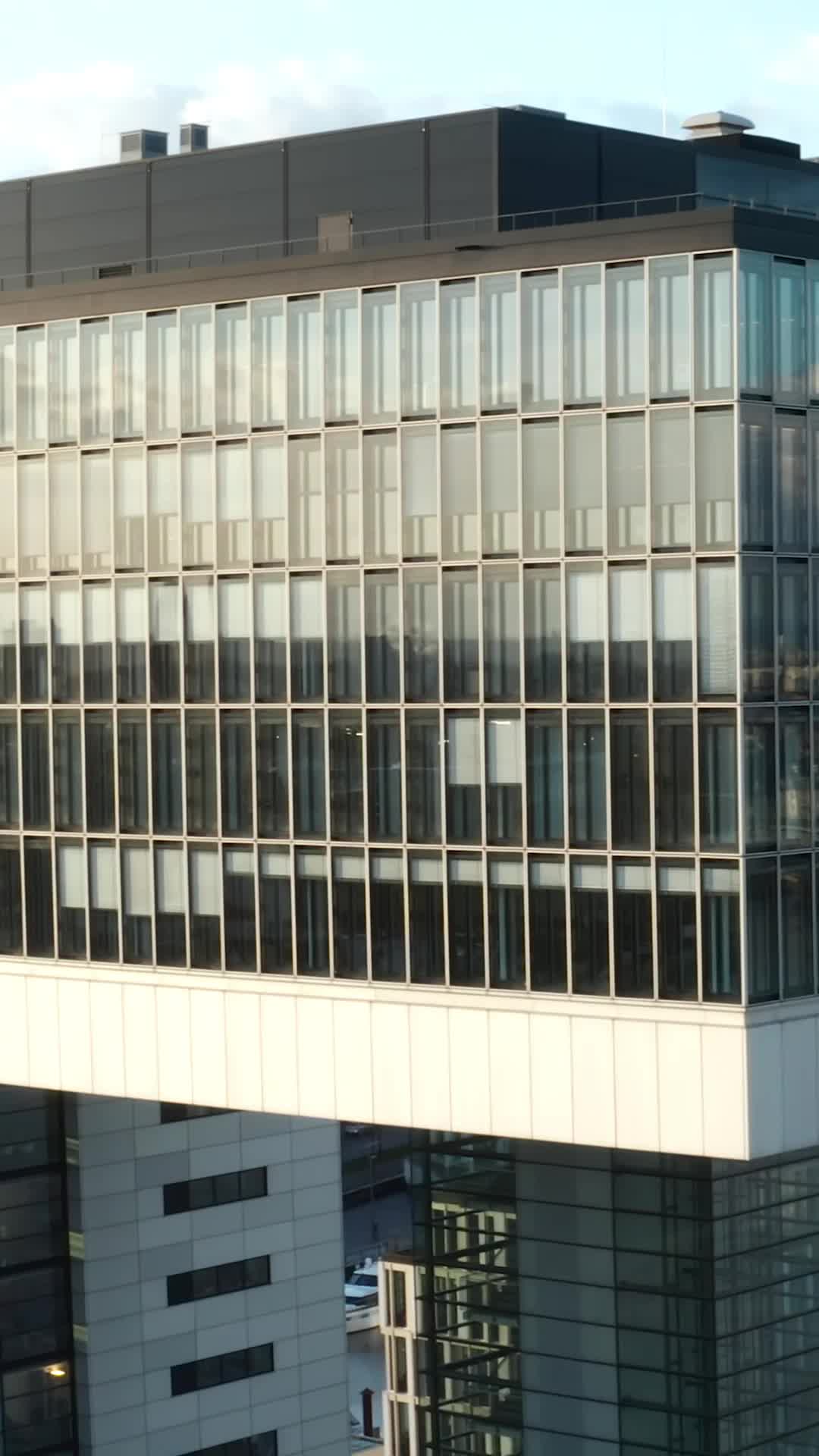 Episódio 29 de Acompanhando o médico bilionário implacável