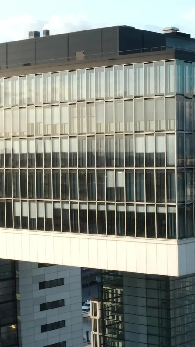 Episódio 29 de Acompanhando o médico bilionário implacável