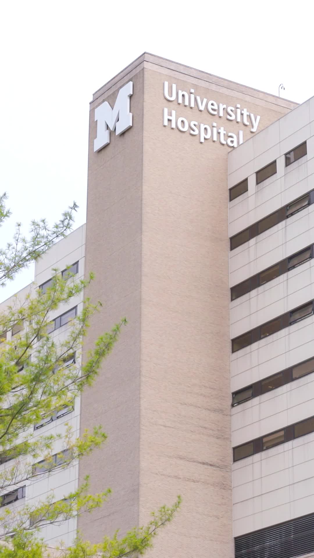 Episódio 53 de Acompanhando o médico bilionário implacável