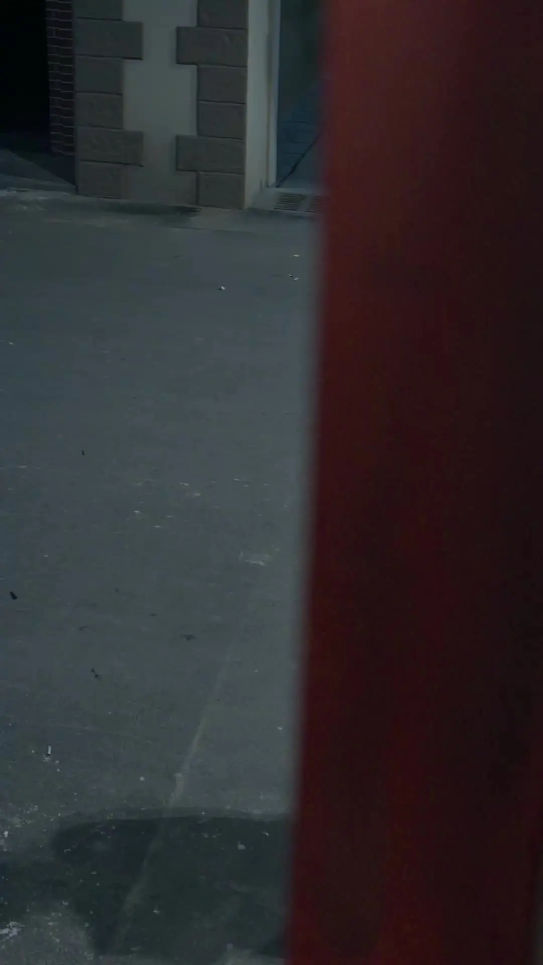 Episódio 47 de Acordo com o Diabo por um Bebê
