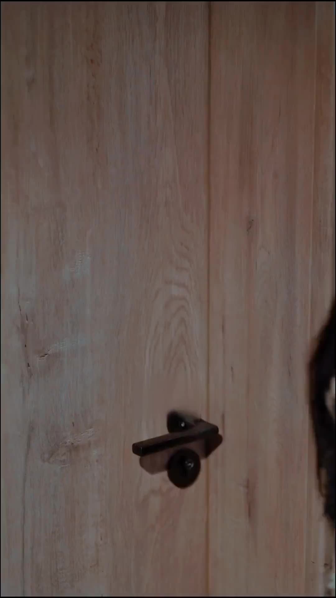 Episódio 72 de Adeus Para Sempre, CEO Possessivo