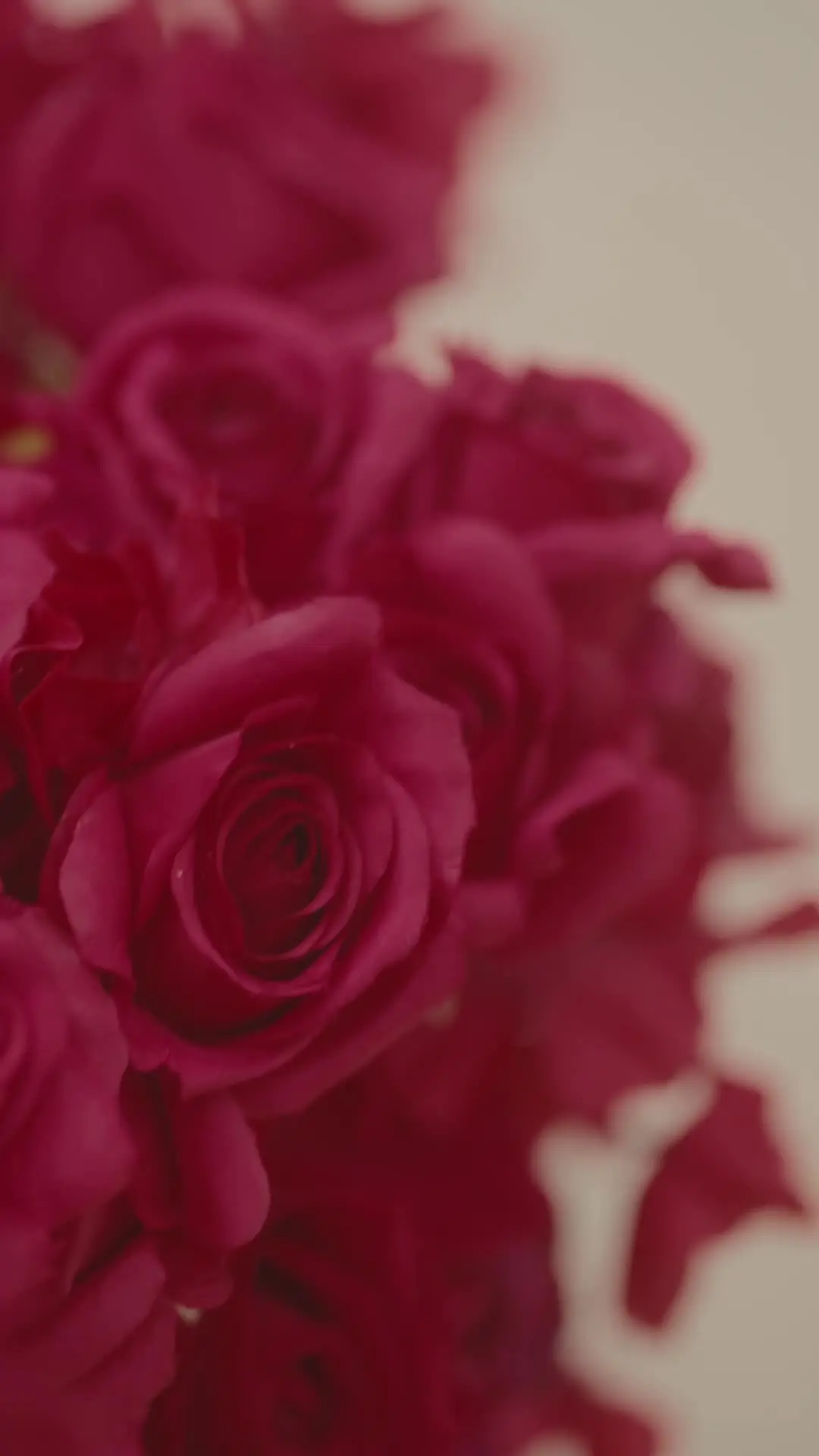 Episódio 57 de Amor Acelerado