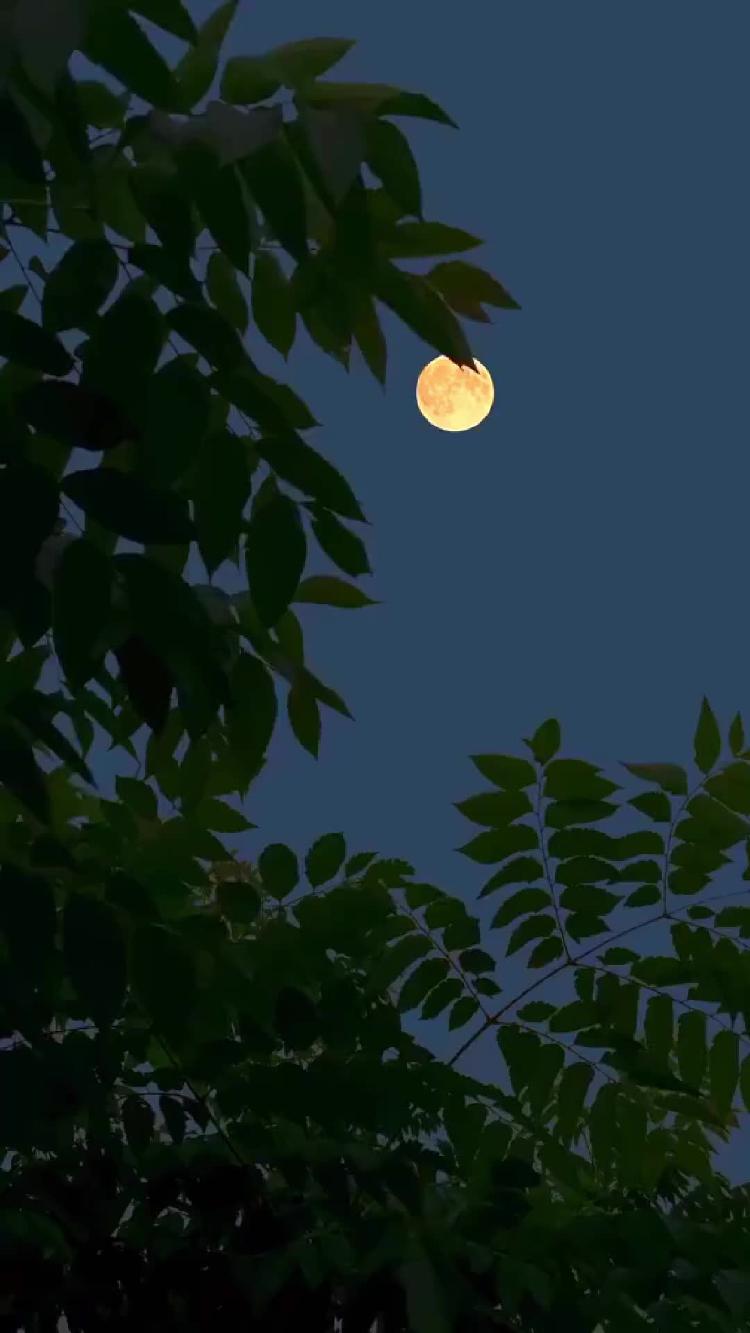Episódio 2 de Amor Inacessível