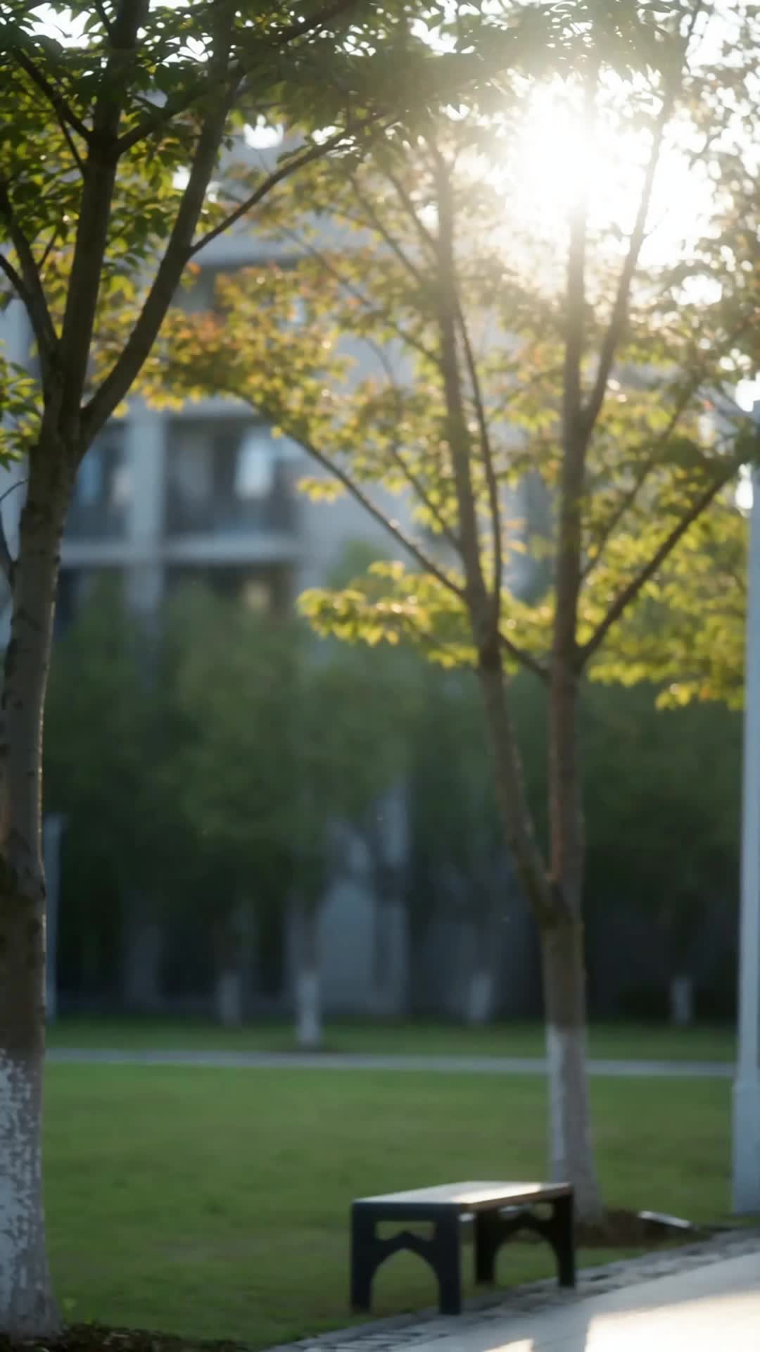 Episódio 80 de Amor Para a Vida Toda