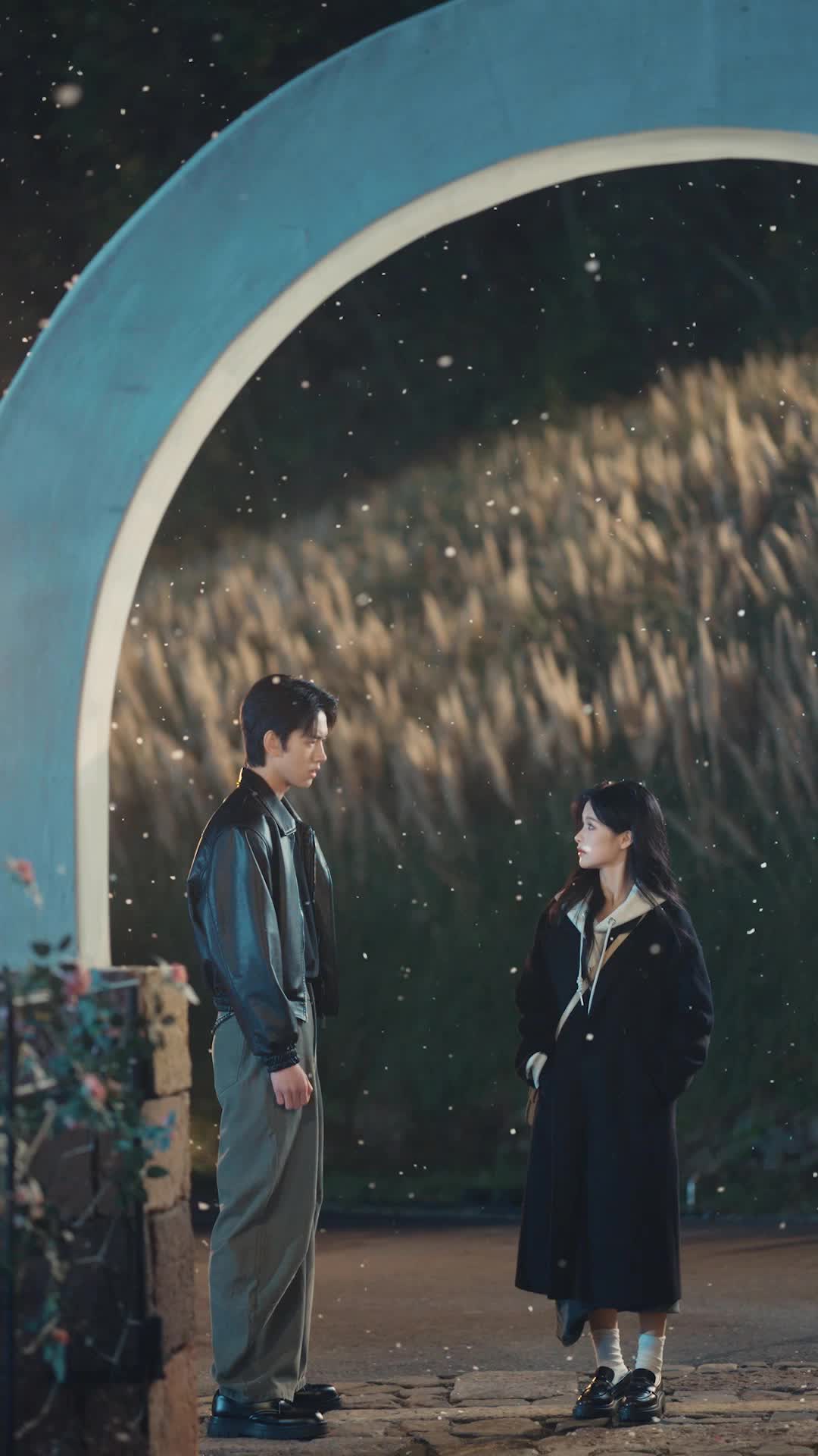 Episódio 25 de Amor, Perdas e Reencontros