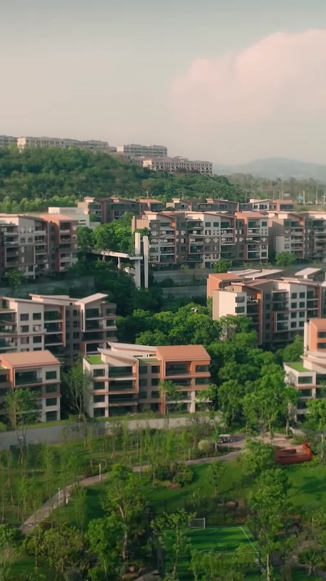 Episódio 35 de Amor, Perdas e Reencontros