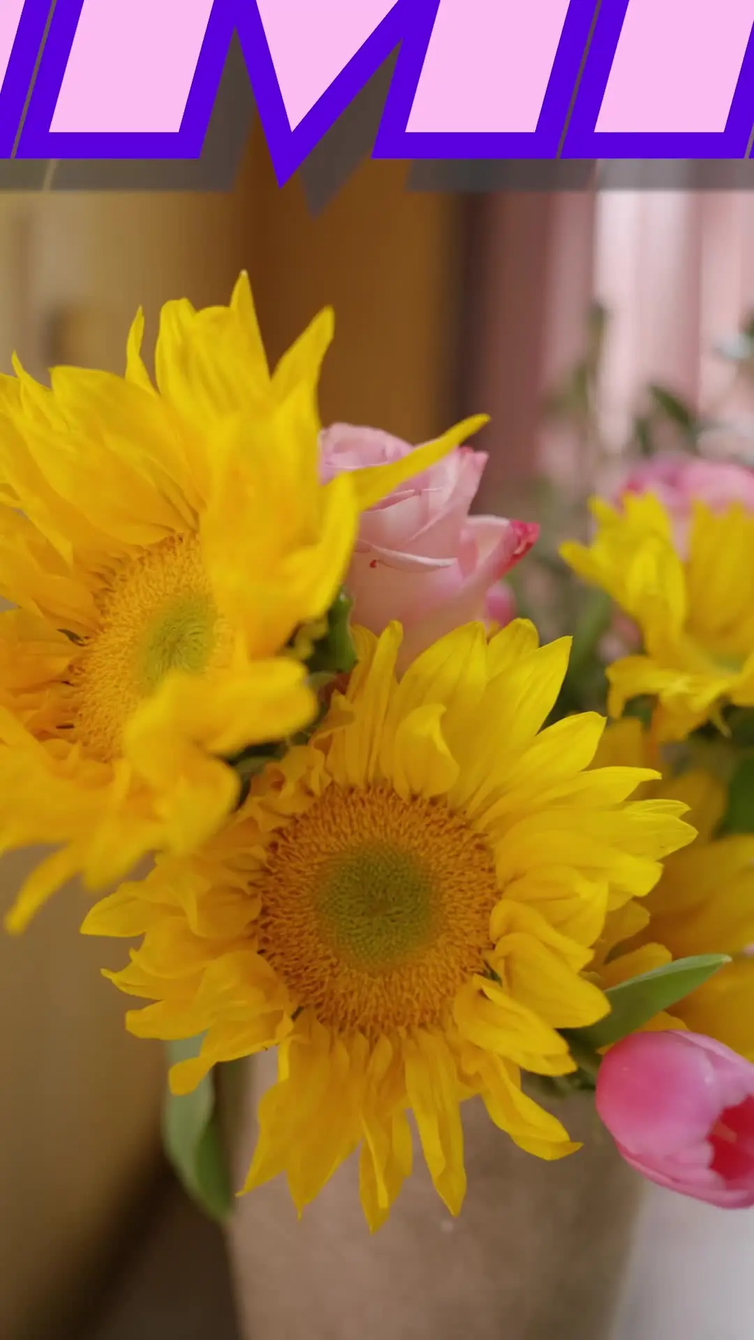 Episódio 70 de Amor Sob Ataque