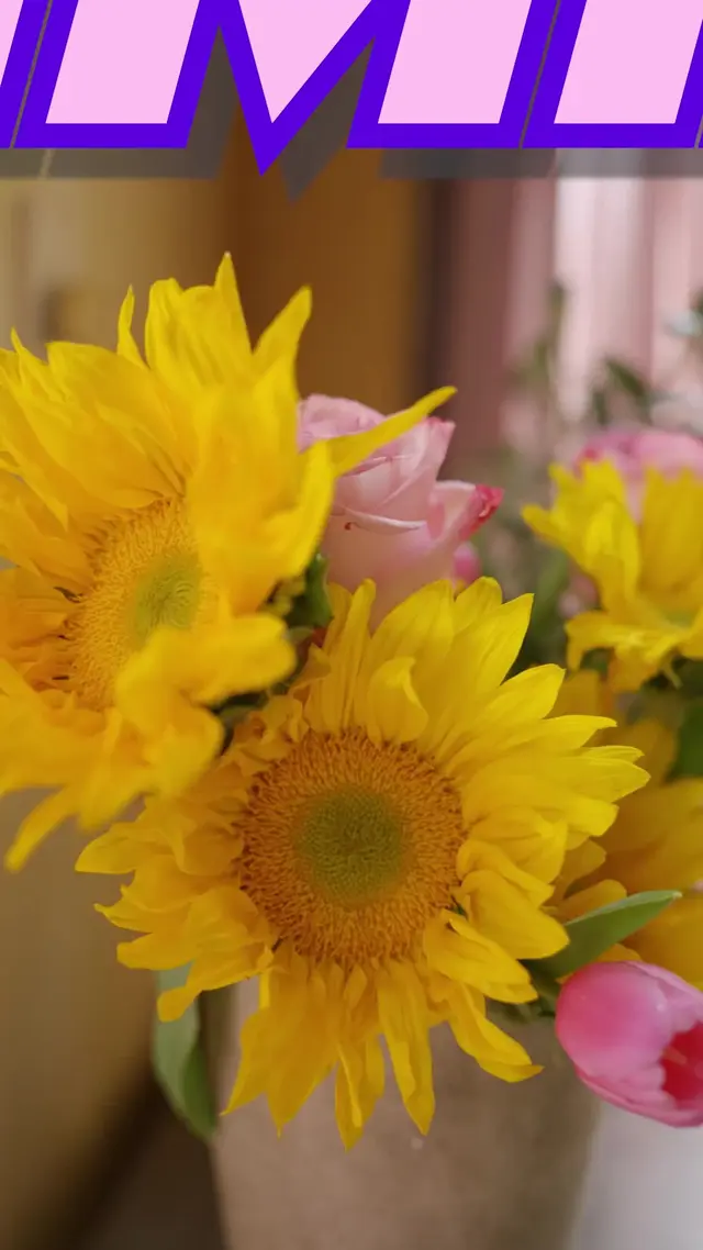 Episódio 70 de Amor Sob Ataque