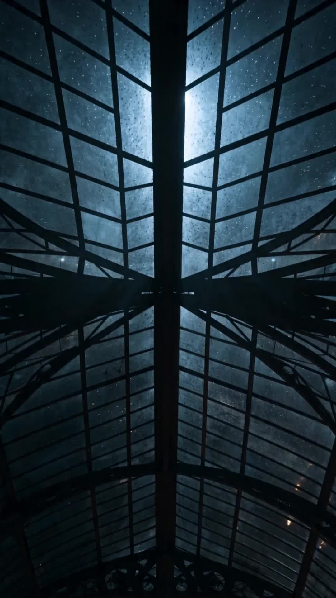 Episódio 5 de Animais Fantásticos e o Guardião da Noite
