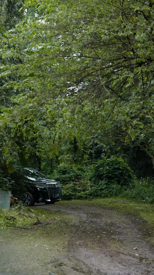 Episódio 59 de Ano Novo na Companhia da Linda Esposa