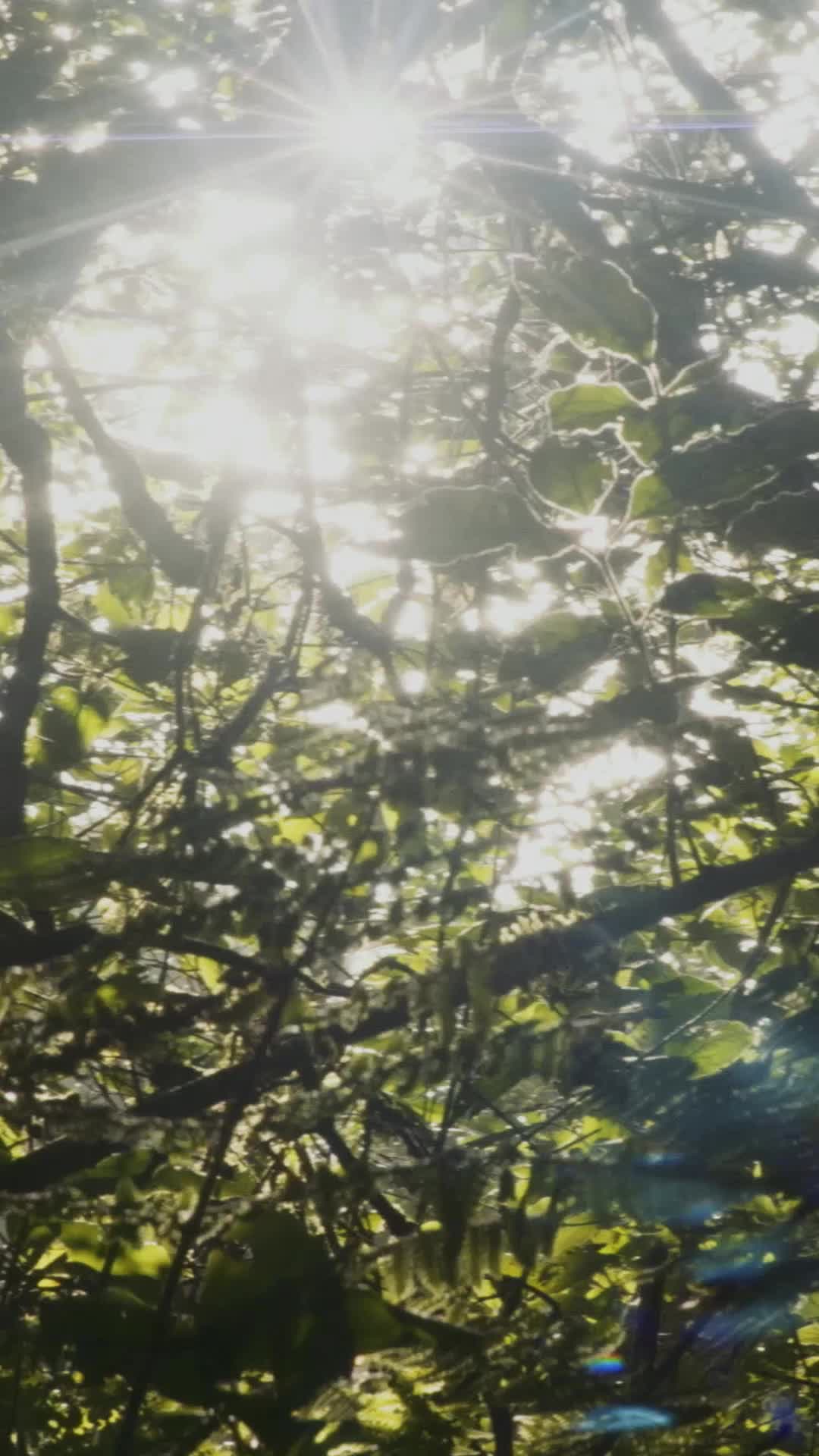 Episódio 43 de Apaixonada pelo Alfa