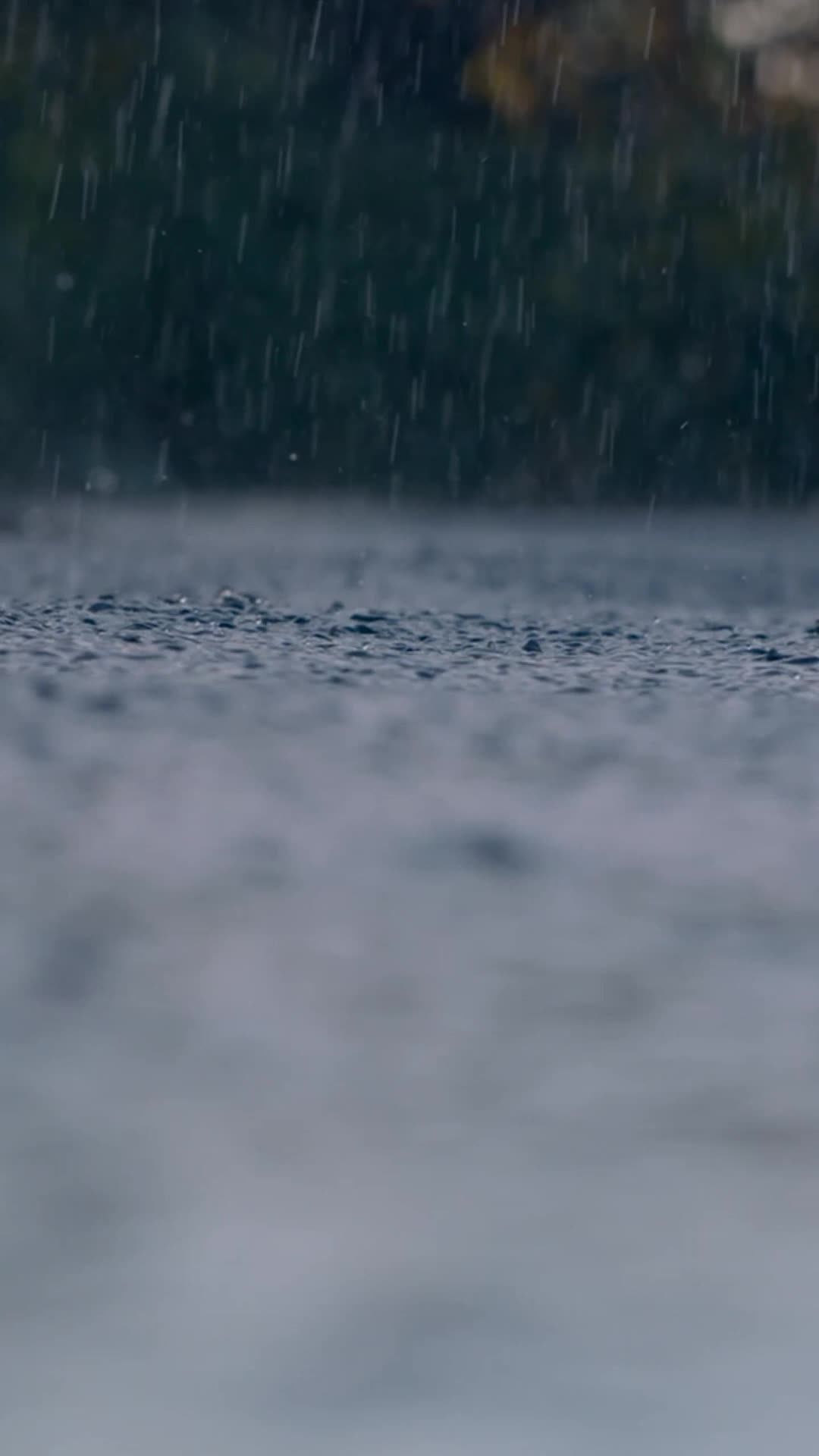 Episódio 1 de Apaixonada por um fazendeiro e pai solteiro
