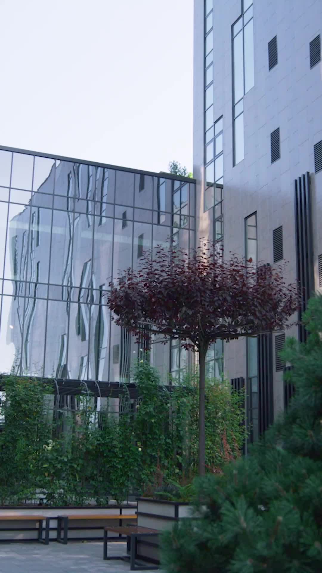 Episódio 53 de Apaixonando-me pelo meu advogado de divórcio