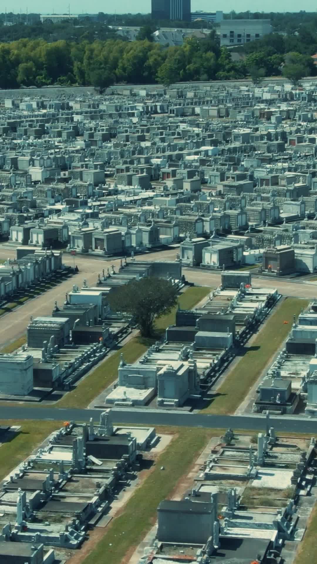 Episódio 12 de Aquele que Eu Nunca Esqueci