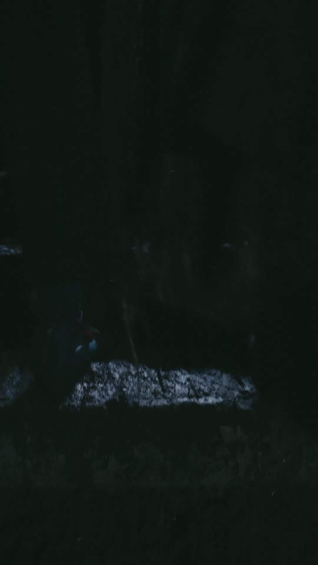 Episódio 50 de Aquele que Se Levanta por Sangue