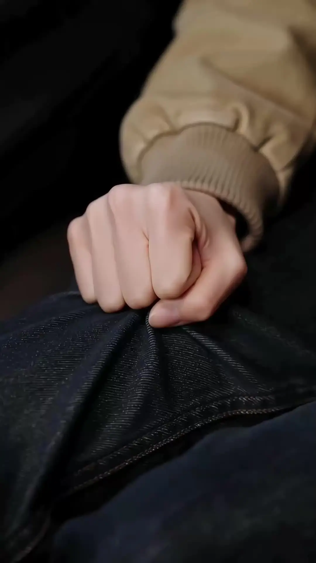 Episódio 55 de Asas do Adeus