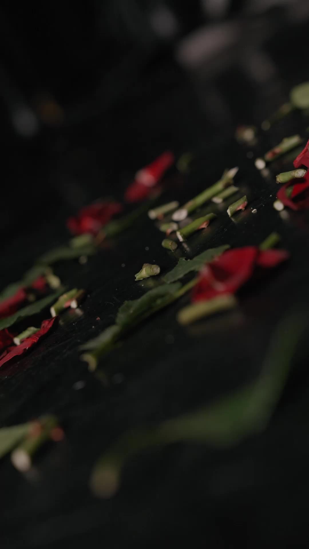 Episódio 17 de Atração Fatal: Romance da Máfia