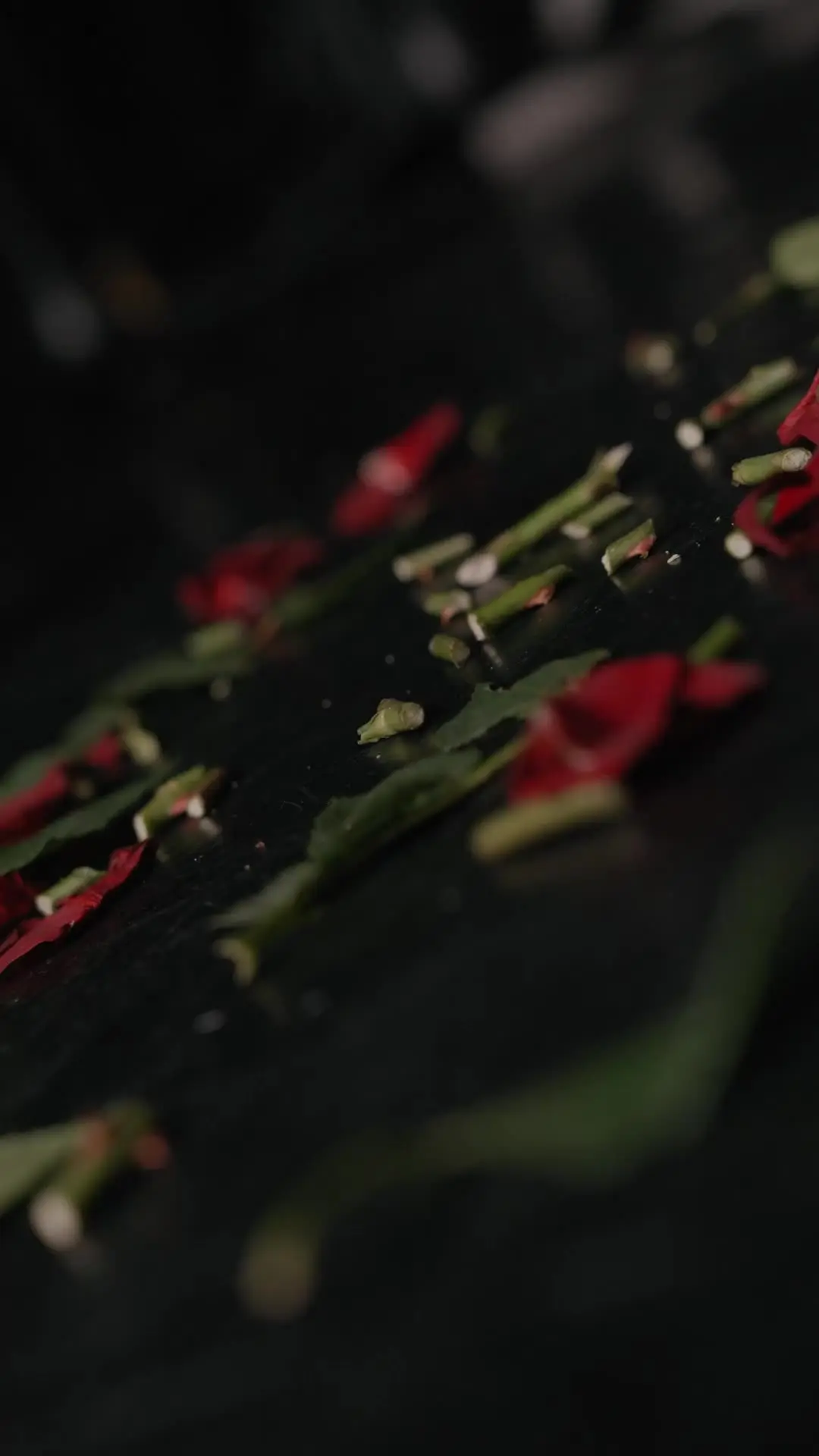 Episódio 17 de Atração Fatal: Romance da Máfia