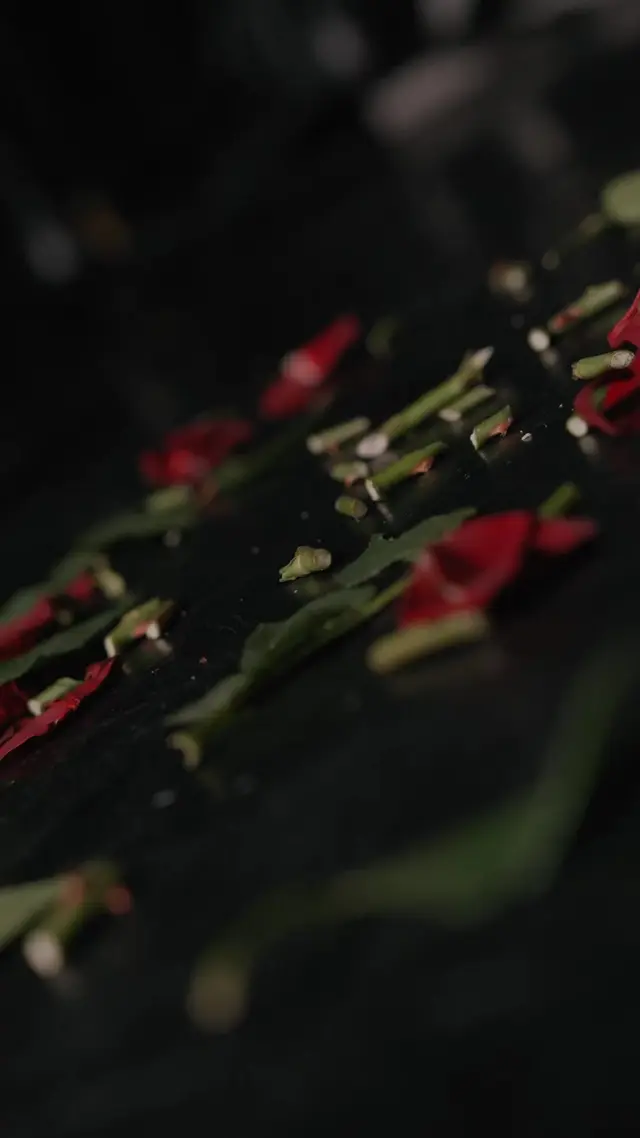 Episódio 17 de Atração Fatal: Romance da Máfia