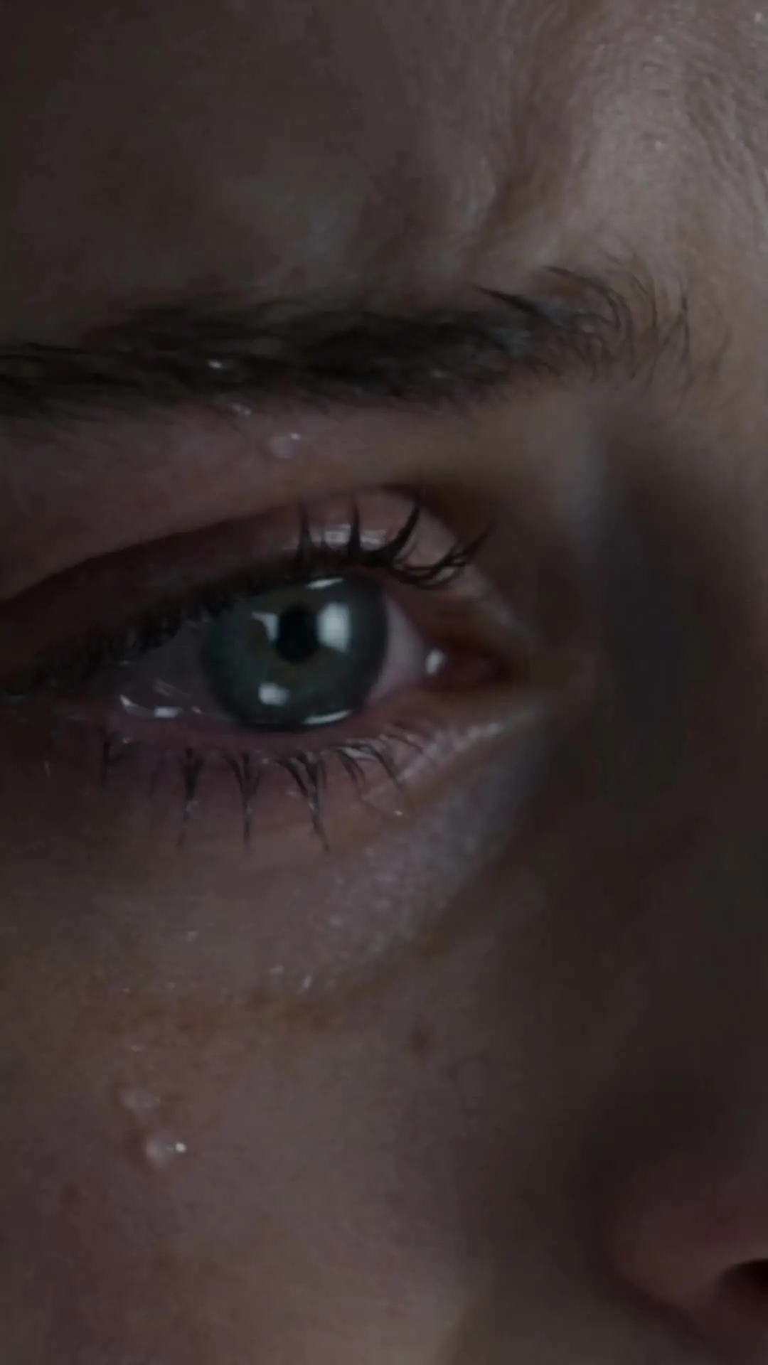 Episódio 30 de Capturada! A Luna Fugitiva do Alfa Implacável
