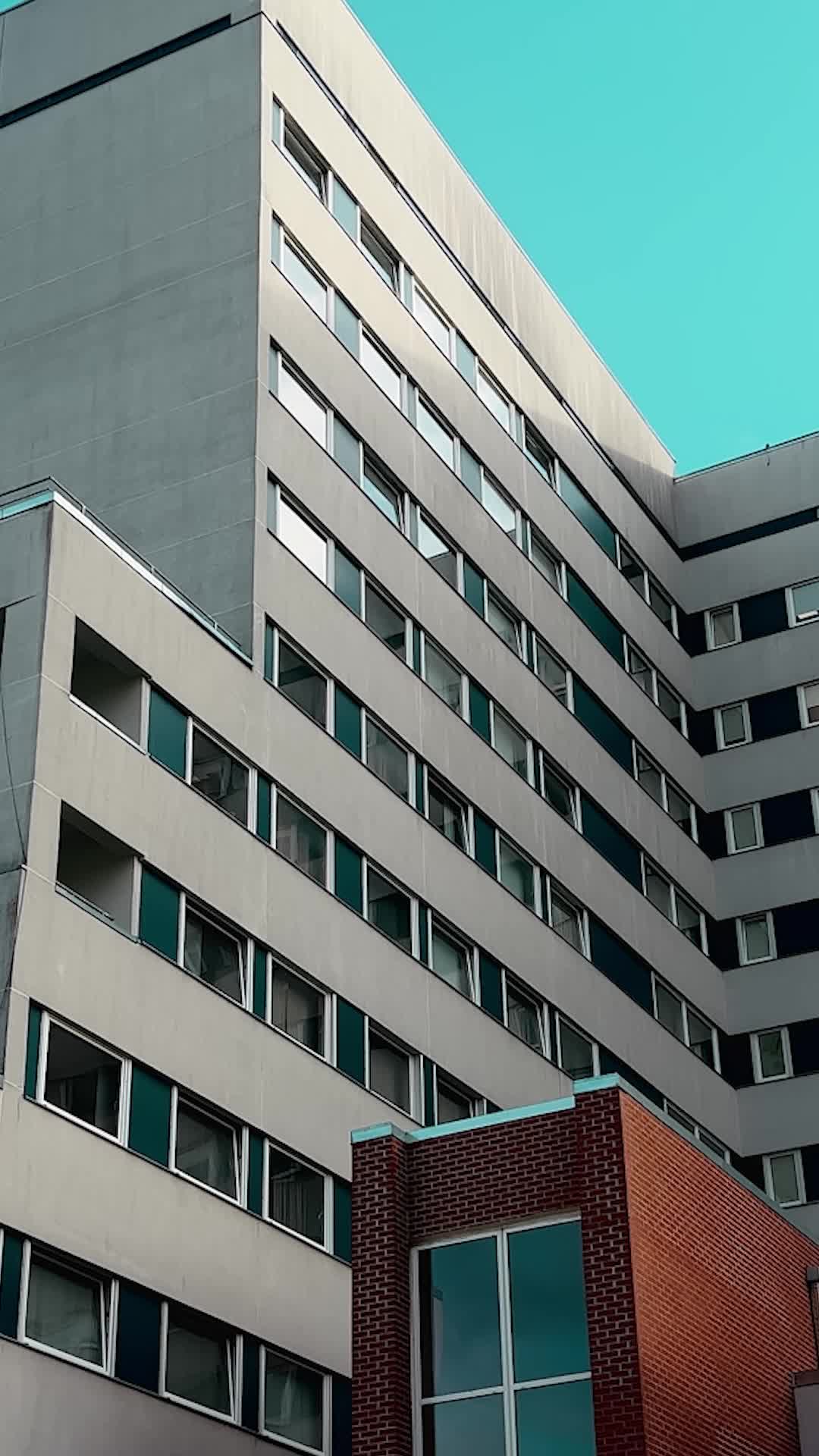 Episódio 1 de Casada por Acidente com o Alfa