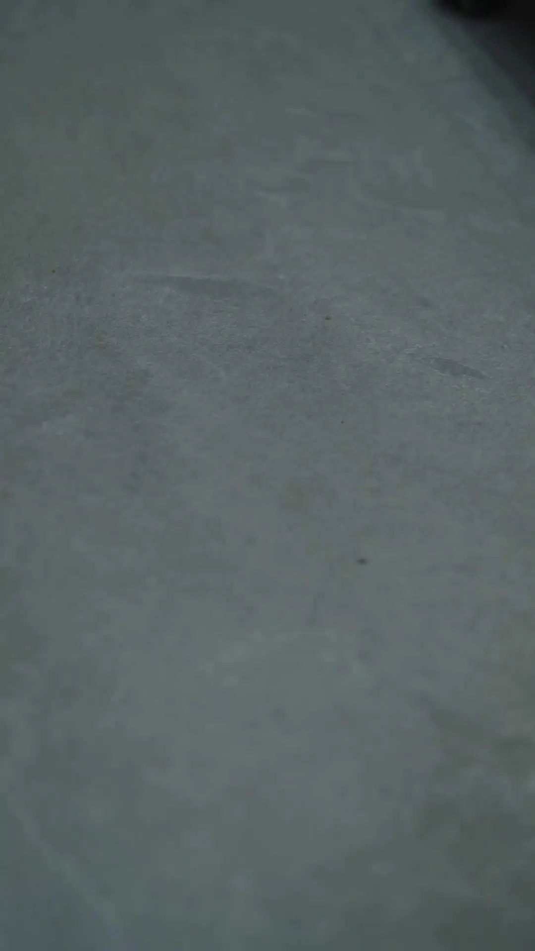 Episódio 54 de Casada Rápido Com Meu Noivo de Direito