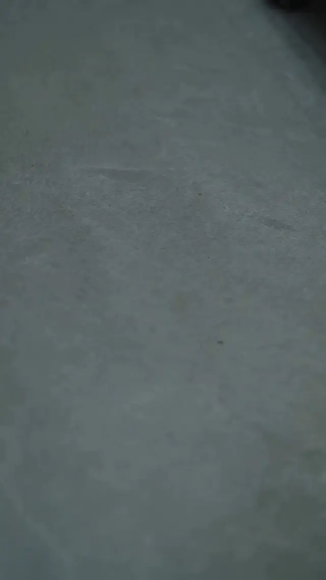 Episódio 54 de Casada Rápido Com Meu Noivo de Direito