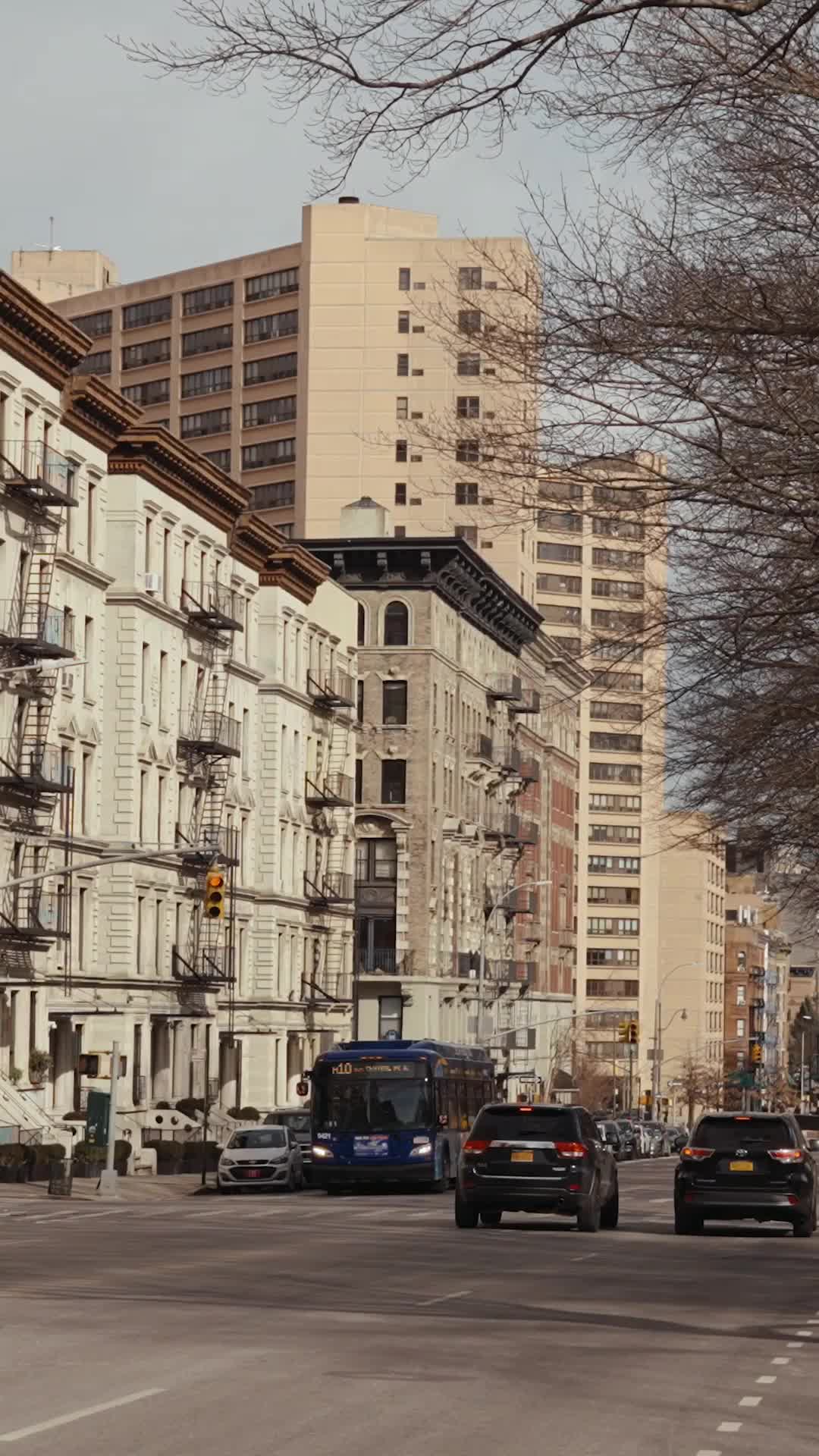Episódio 46 de Casamento Falso com meu CEO Multimilionário