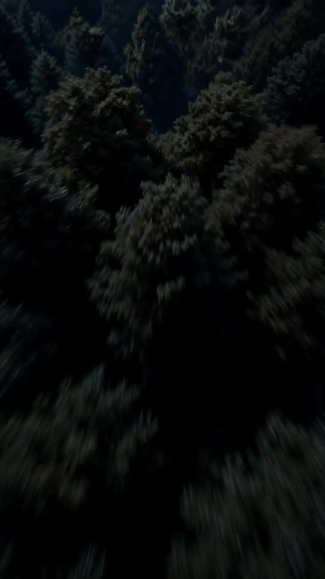 Episódio 1 de Cem Anos de Você
