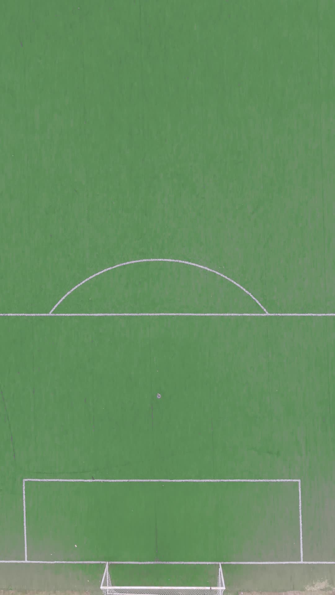 Campo de futebol visto de cima, com a marcação da grande área e o gol