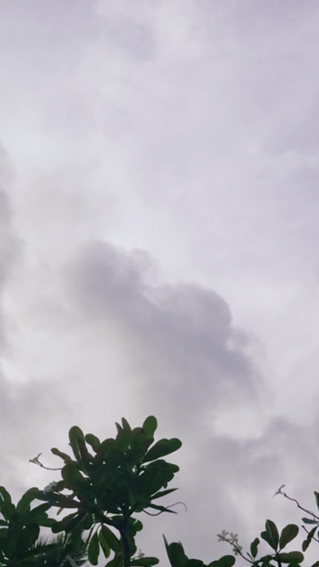 Episódio 16 de Como Conquistar um Coroa