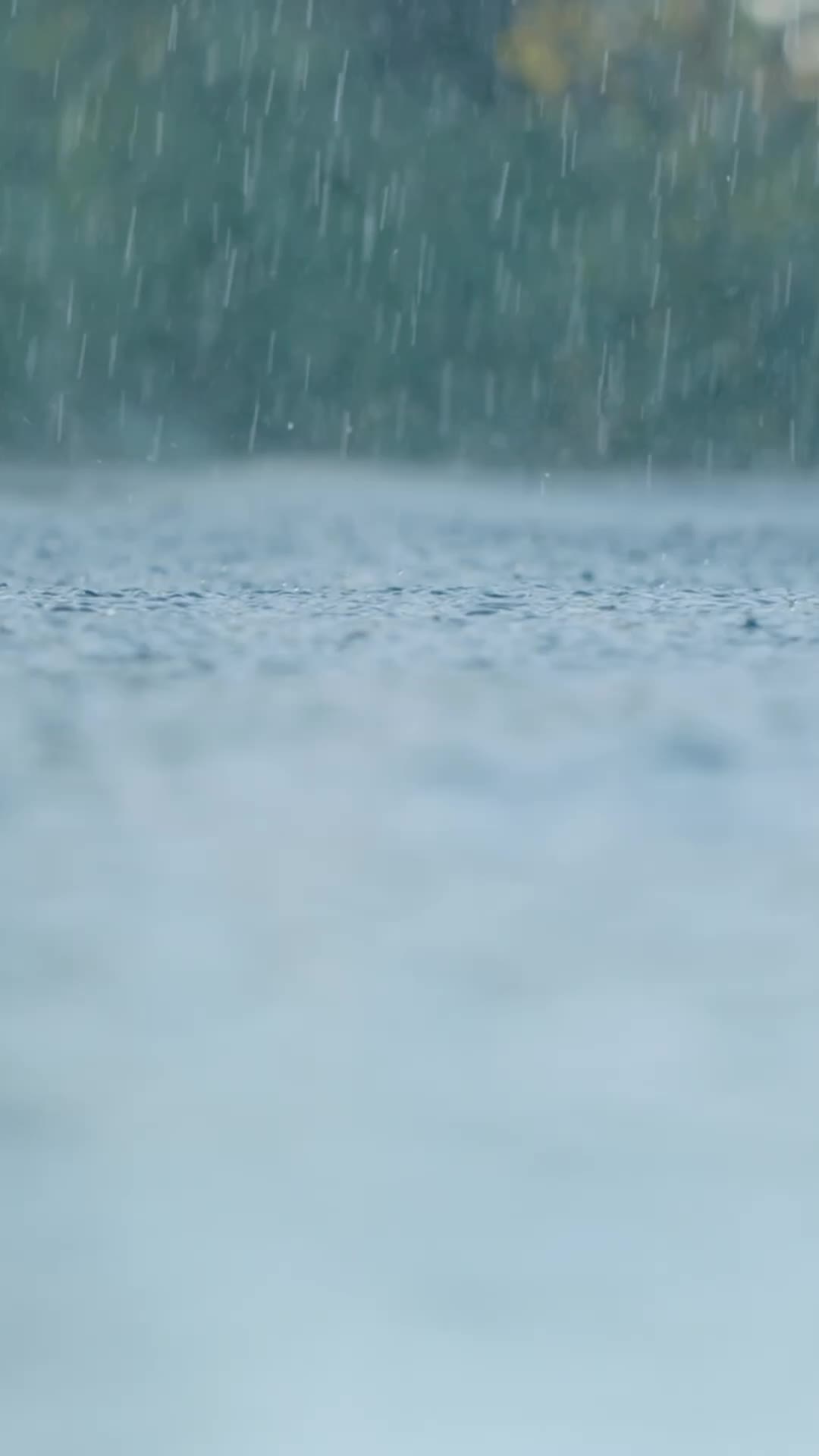 Episódio 29 de Como Partir o Coração do Meu Valentão