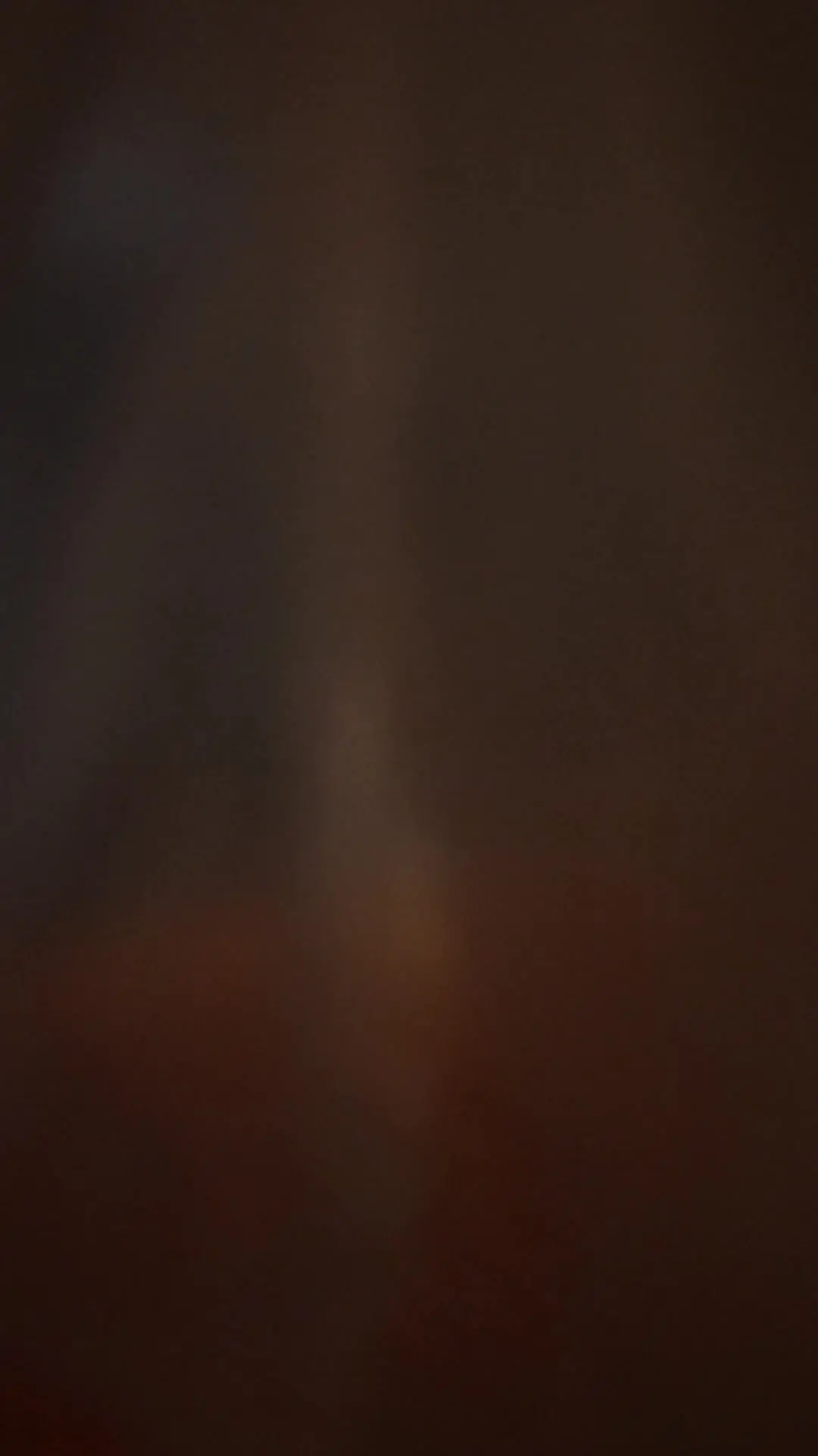 Episódio 25 de Como prender o filho do presidente