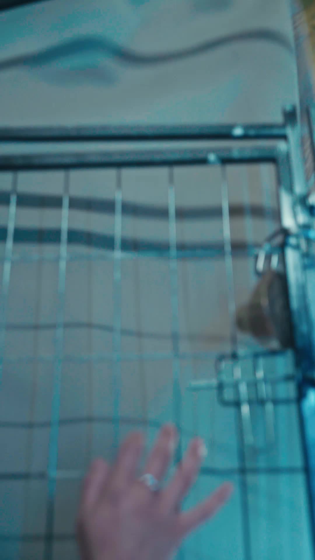 Episódio 26 de Confundida Como Sua Companheira: O Arrependimento de Luna