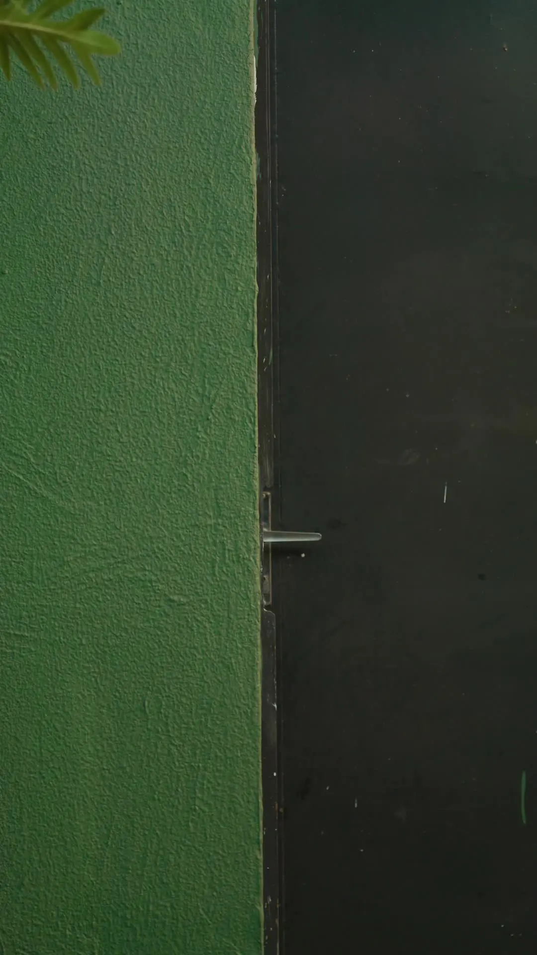 Episódio 16 de Conquistei um bilionario para ser meu marido