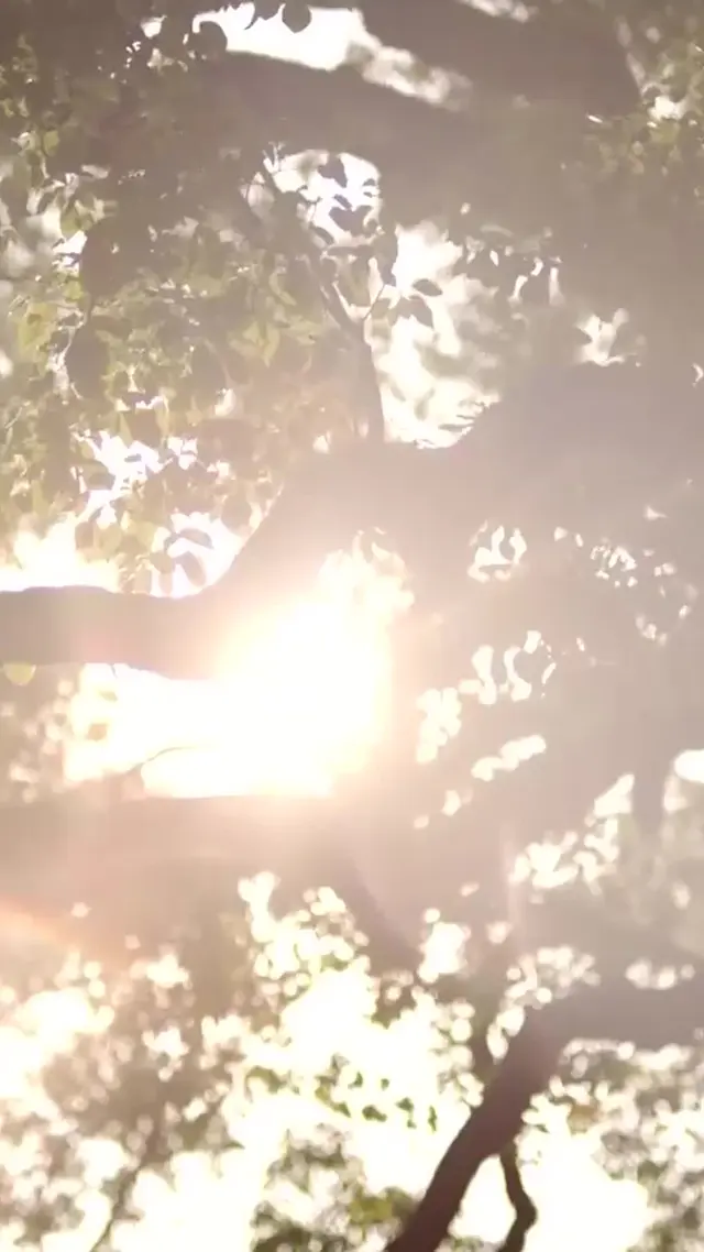 Episódio 15 de Da Pobreza ao Poder: Herdeira